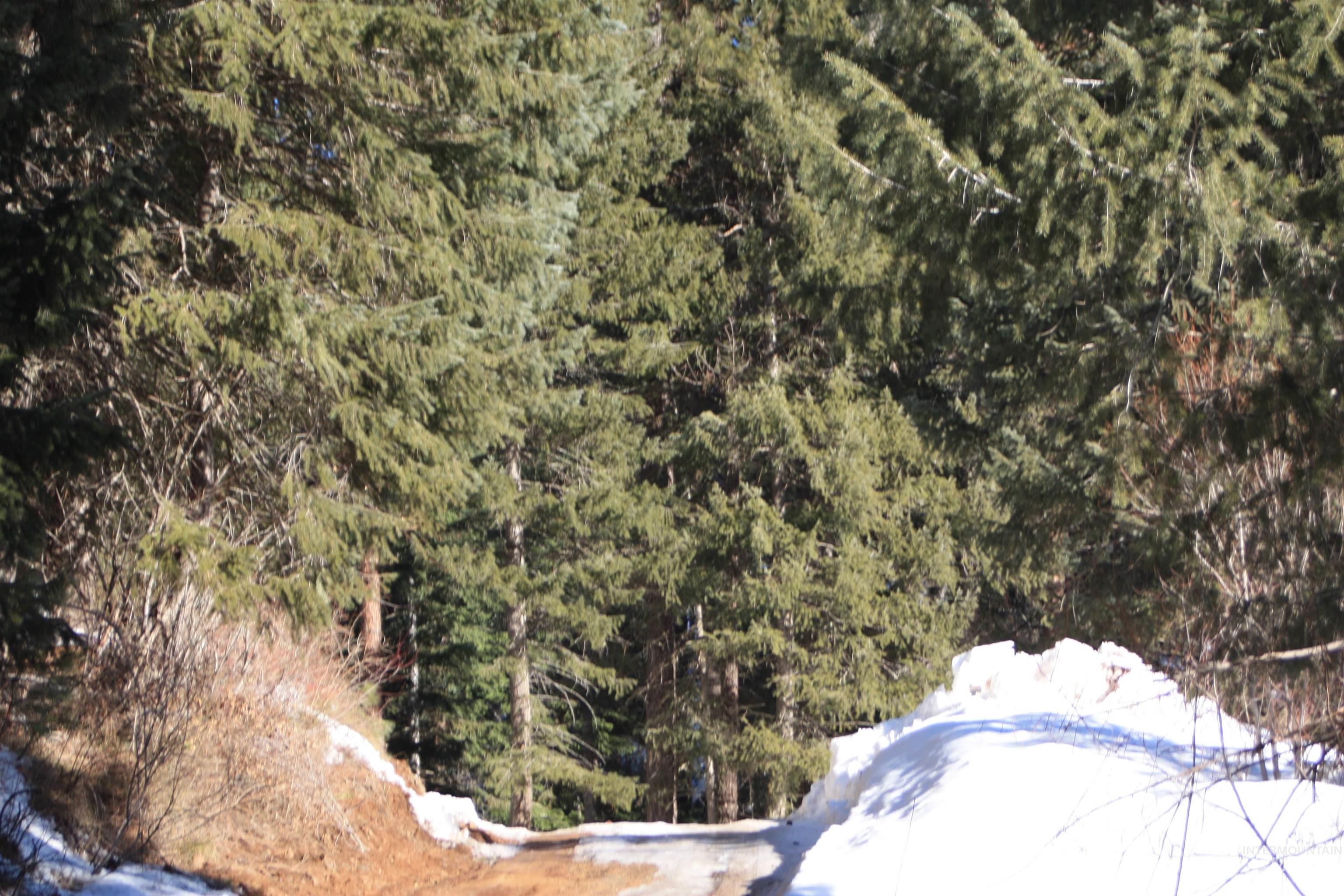 3191 Highway 95, Council, Idaho 83612, 3 Bedrooms, 2 Bathrooms, Residential For Sale, Price $399,000,MLS 98934807