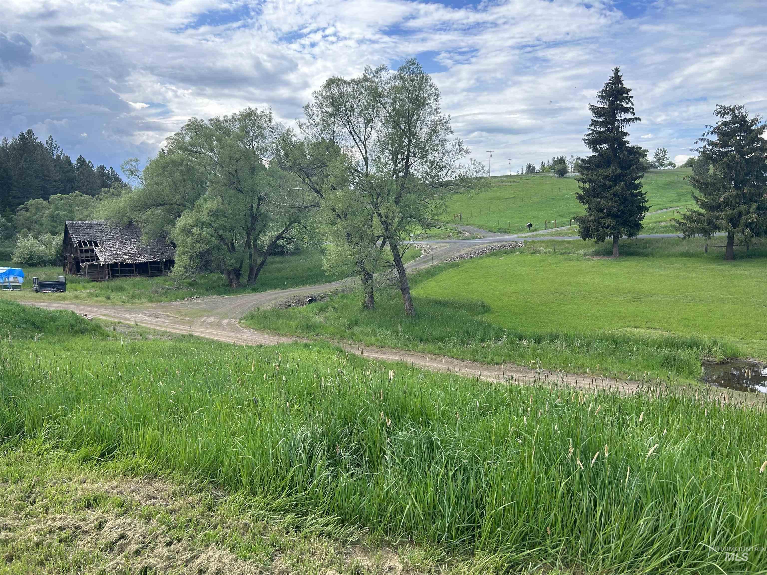 698 Leitch Creek Rd, Kooskia, Idaho 83539, 2 Bedrooms, 1 Bathroom, Residential For Sale, Price $549,000,MLS 98934859