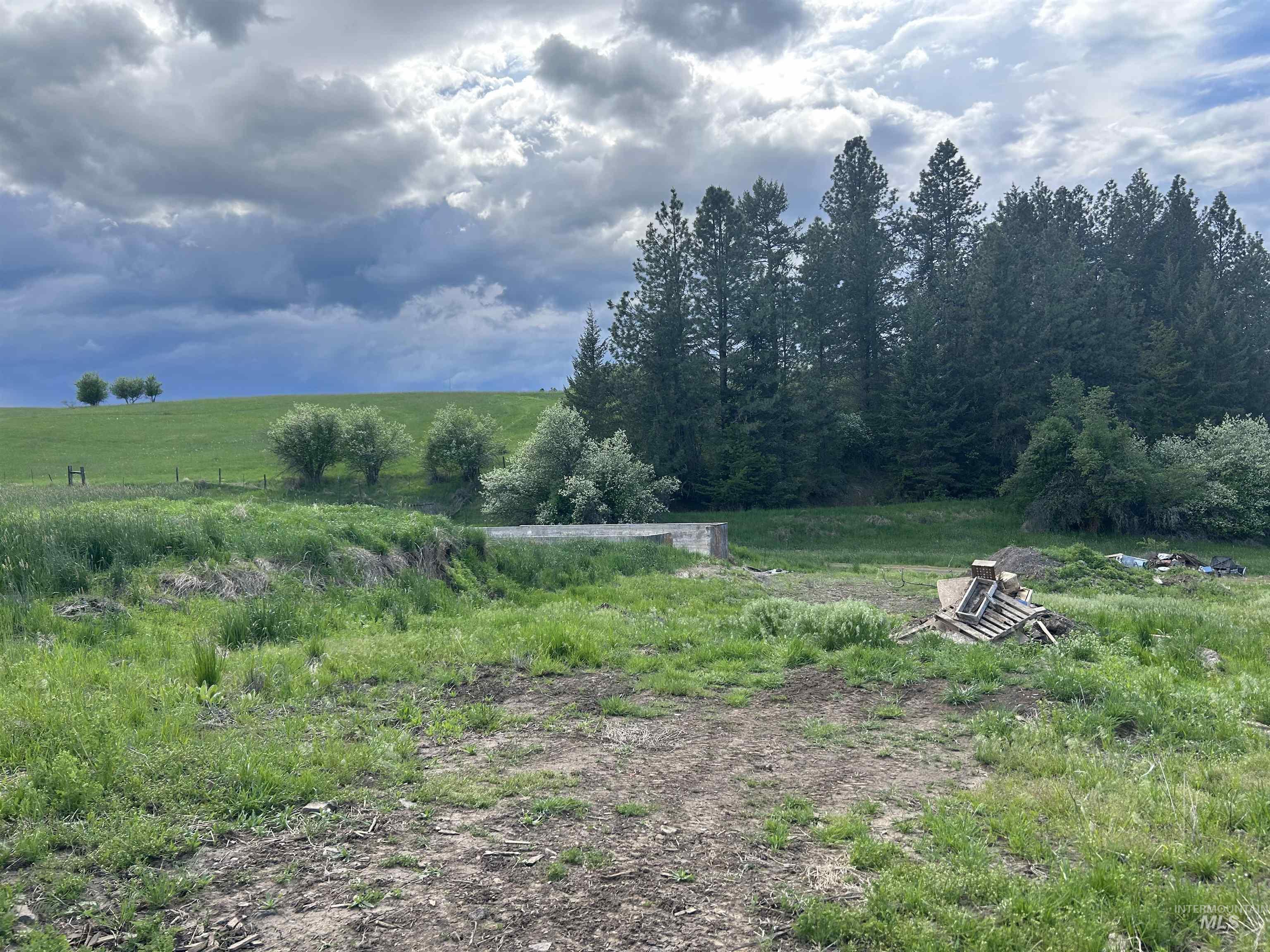 698 Leitch Creek Rd, Kooskia, Idaho 83539, 2 Bedrooms, 1 Bathroom, Residential For Sale, Price $549,000,MLS 98934859