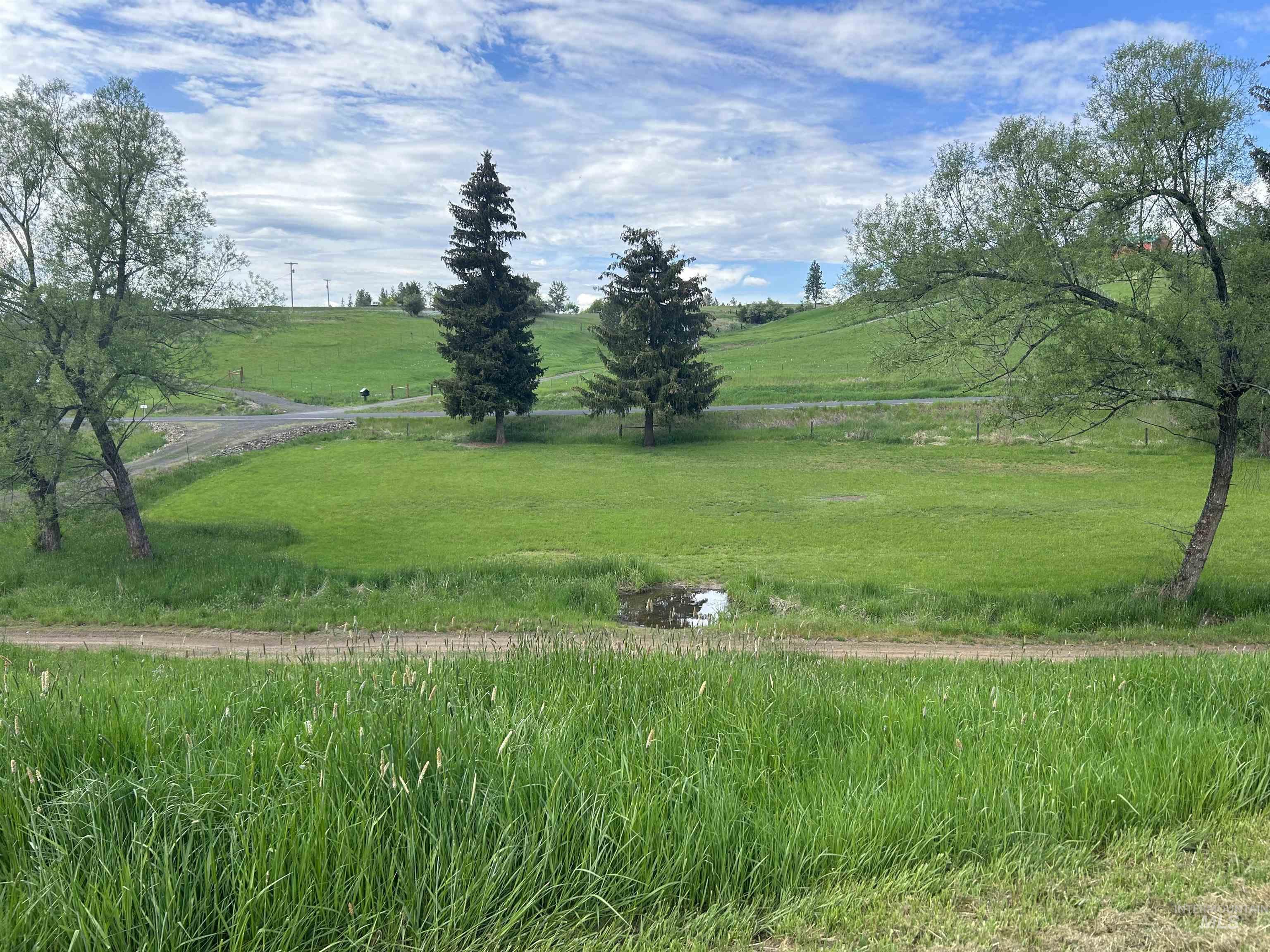 698 Leitch Creek Rd, Kooskia, Idaho 83539, 2 Bedrooms, 1 Bathroom, Residential For Sale, Price $549,000,MLS 98934859