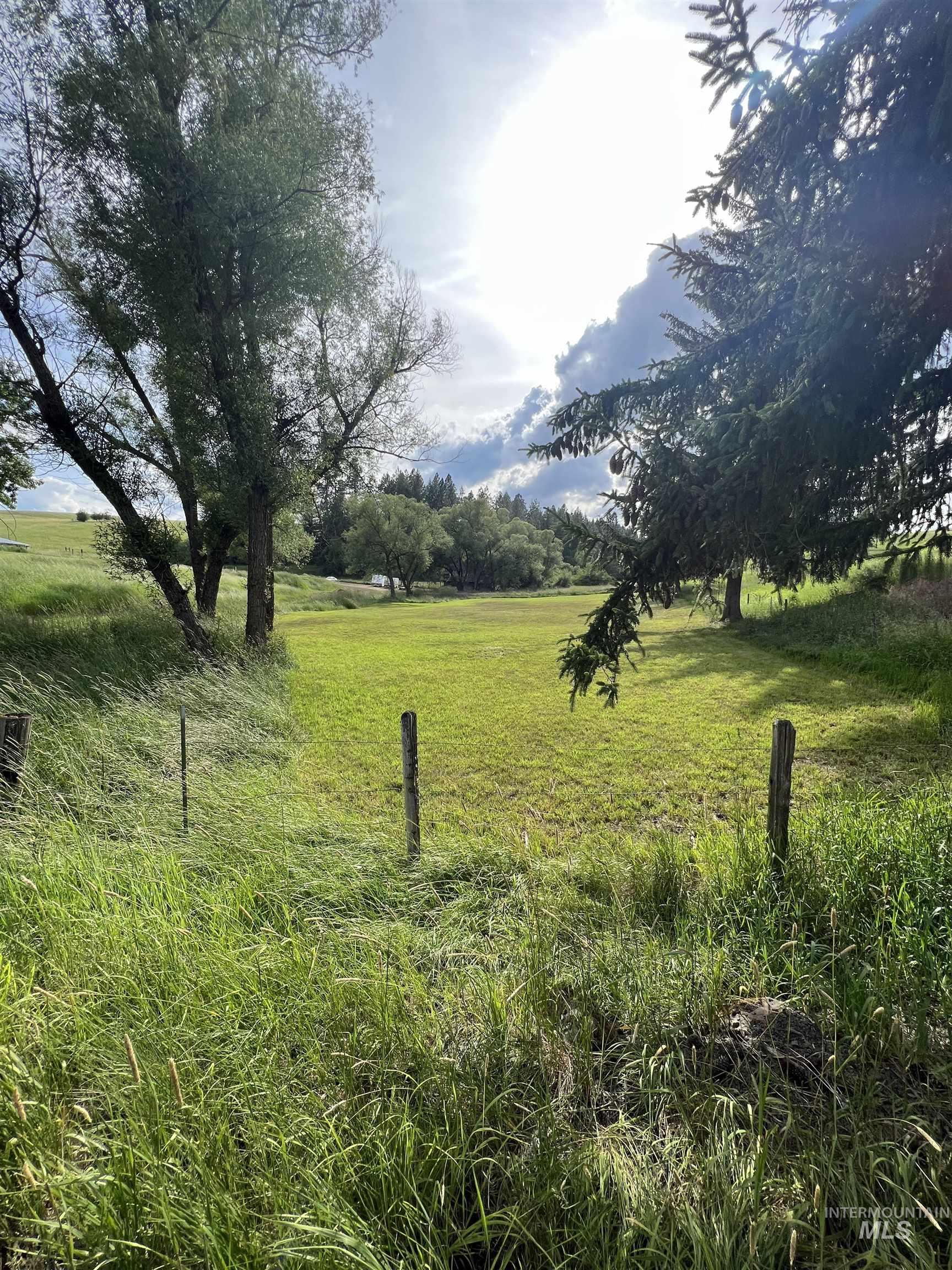 698 Leitch Creek Rd, Kooskia, Idaho 83539, 2 Bedrooms, 1 Bathroom, Residential For Sale, Price $549,000,MLS 98934859