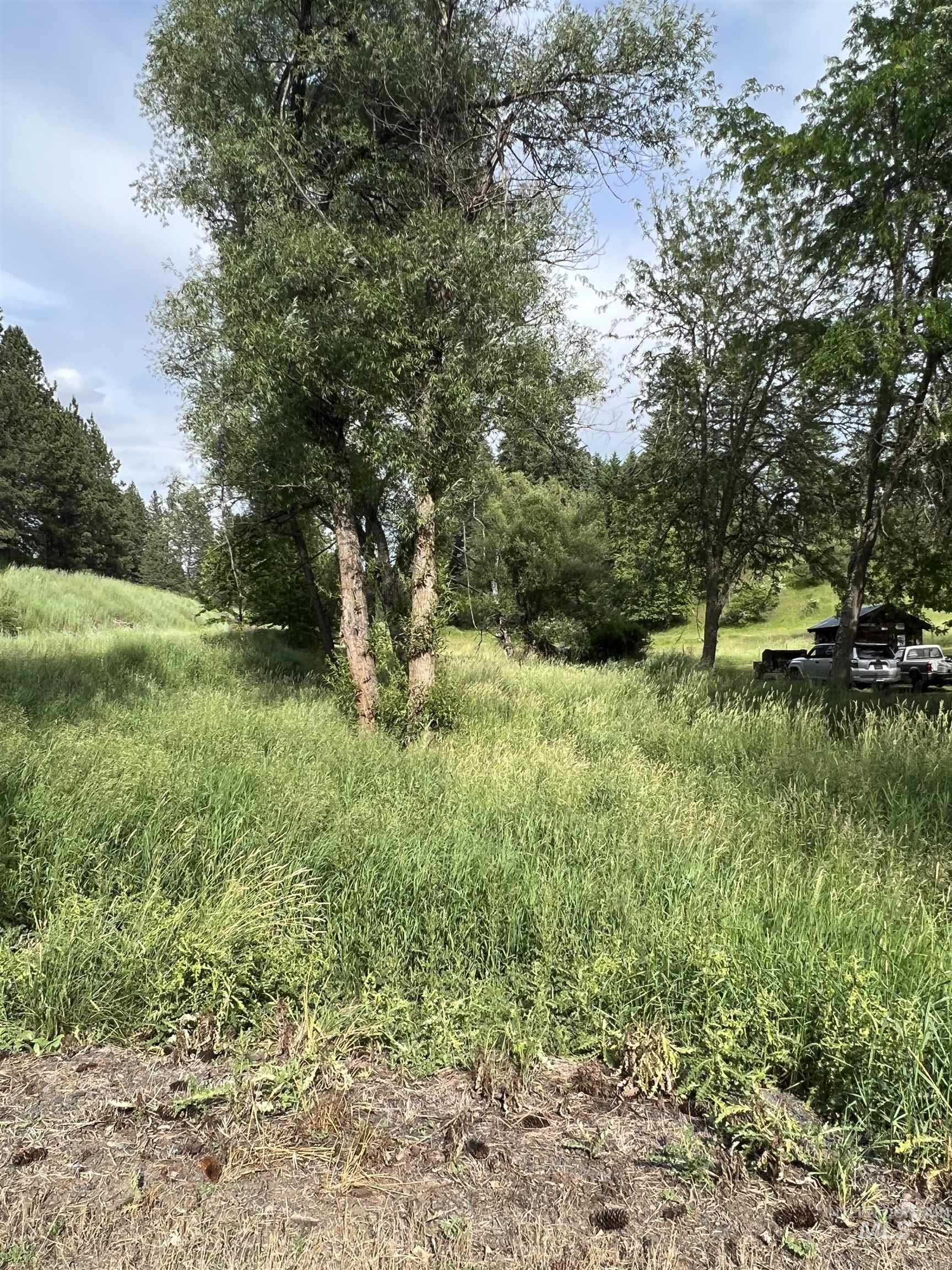 698 Leitch Creek Rd, Kooskia, Idaho 83539, 2 Bedrooms, 1 Bathroom, Residential For Sale, Price $549,000,MLS 98934859