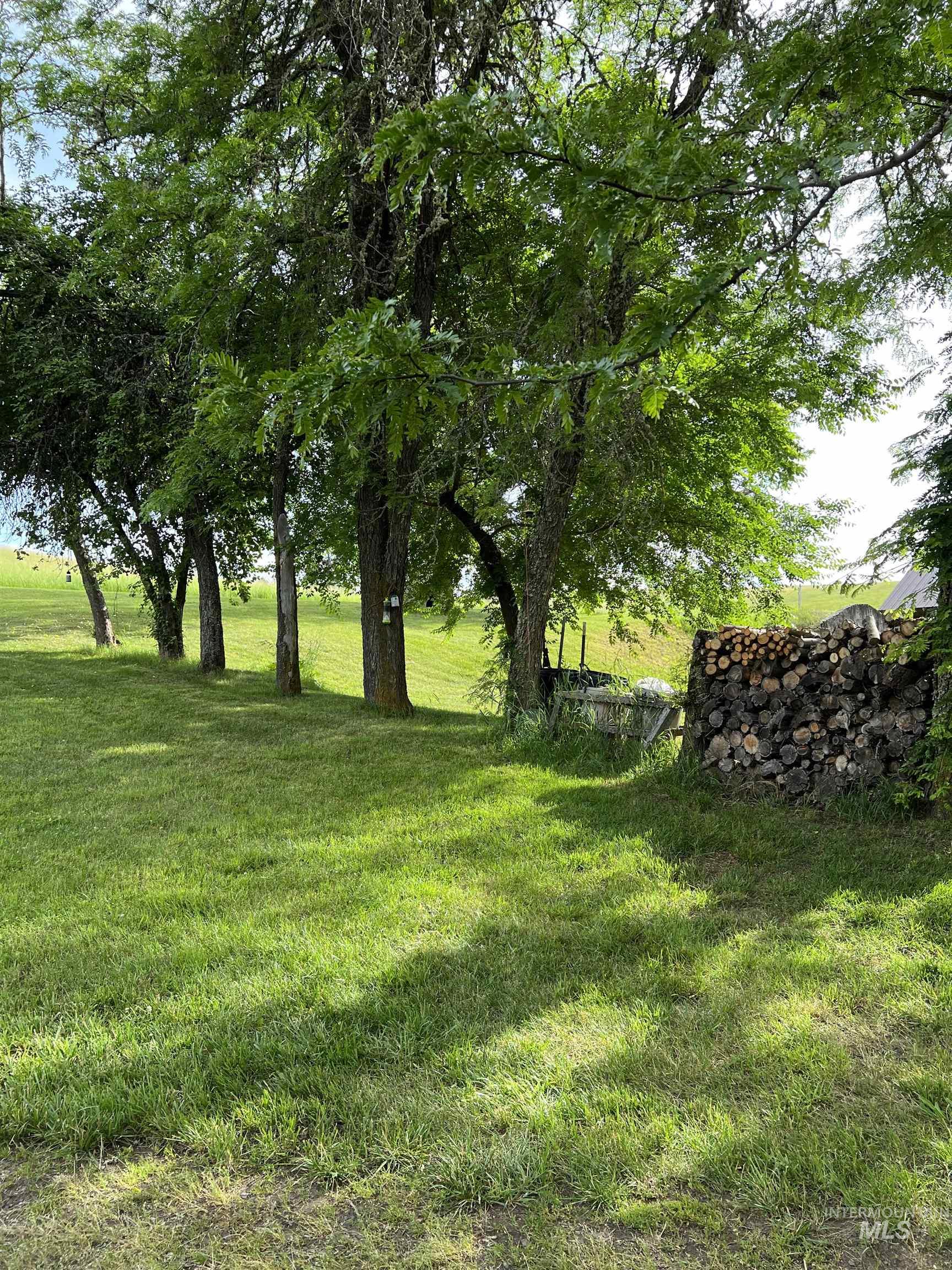 698 Leitch Creek Rd, Kooskia, Idaho 83539, 2 Bedrooms, 1 Bathroom, Residential For Sale, Price $549,000,MLS 98934859