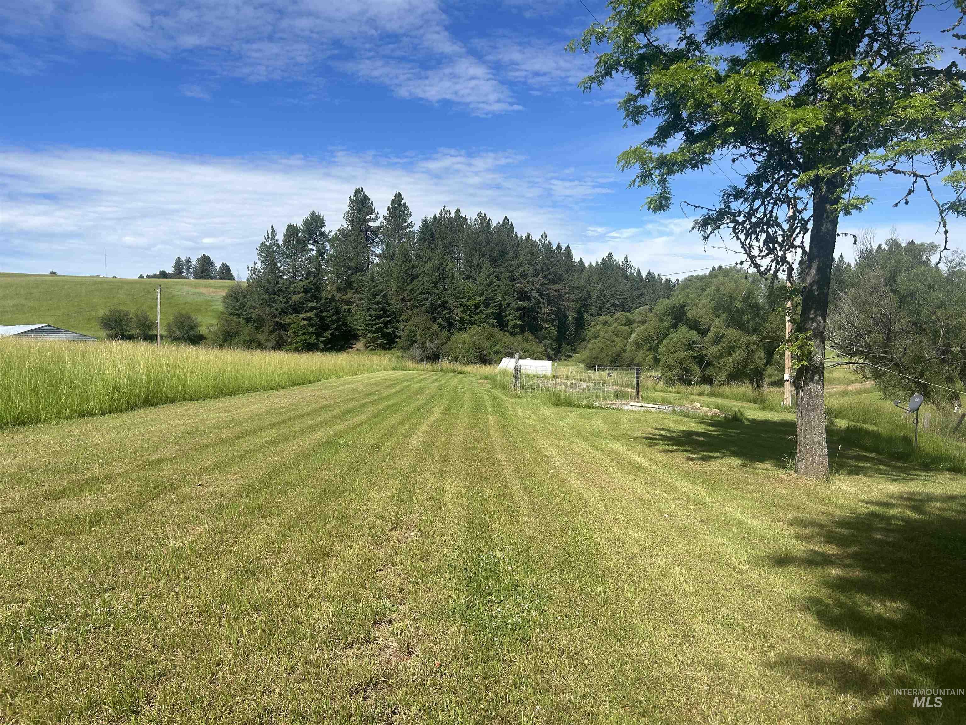 698 Leitch Creek Rd, Kooskia, Idaho 83539, 2 Bedrooms, 1 Bathroom, Residential For Sale, Price $549,000,MLS 98934859