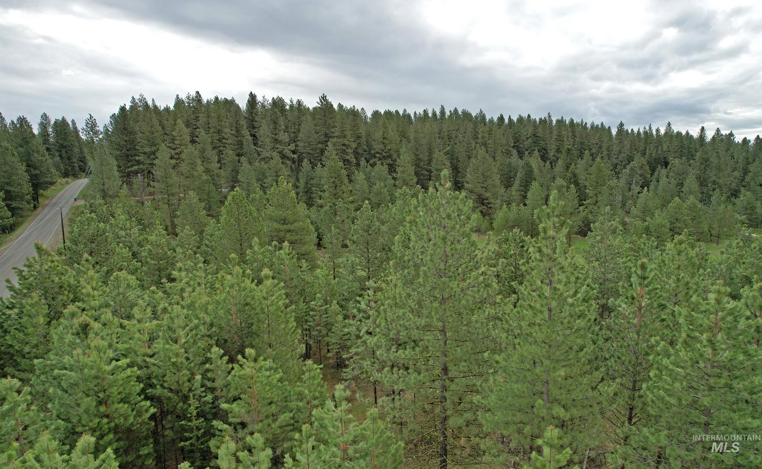 TBD 2 Elo Road, McCall, Idaho 83638, Land For Sale, Price $325,000,MLS 98935491