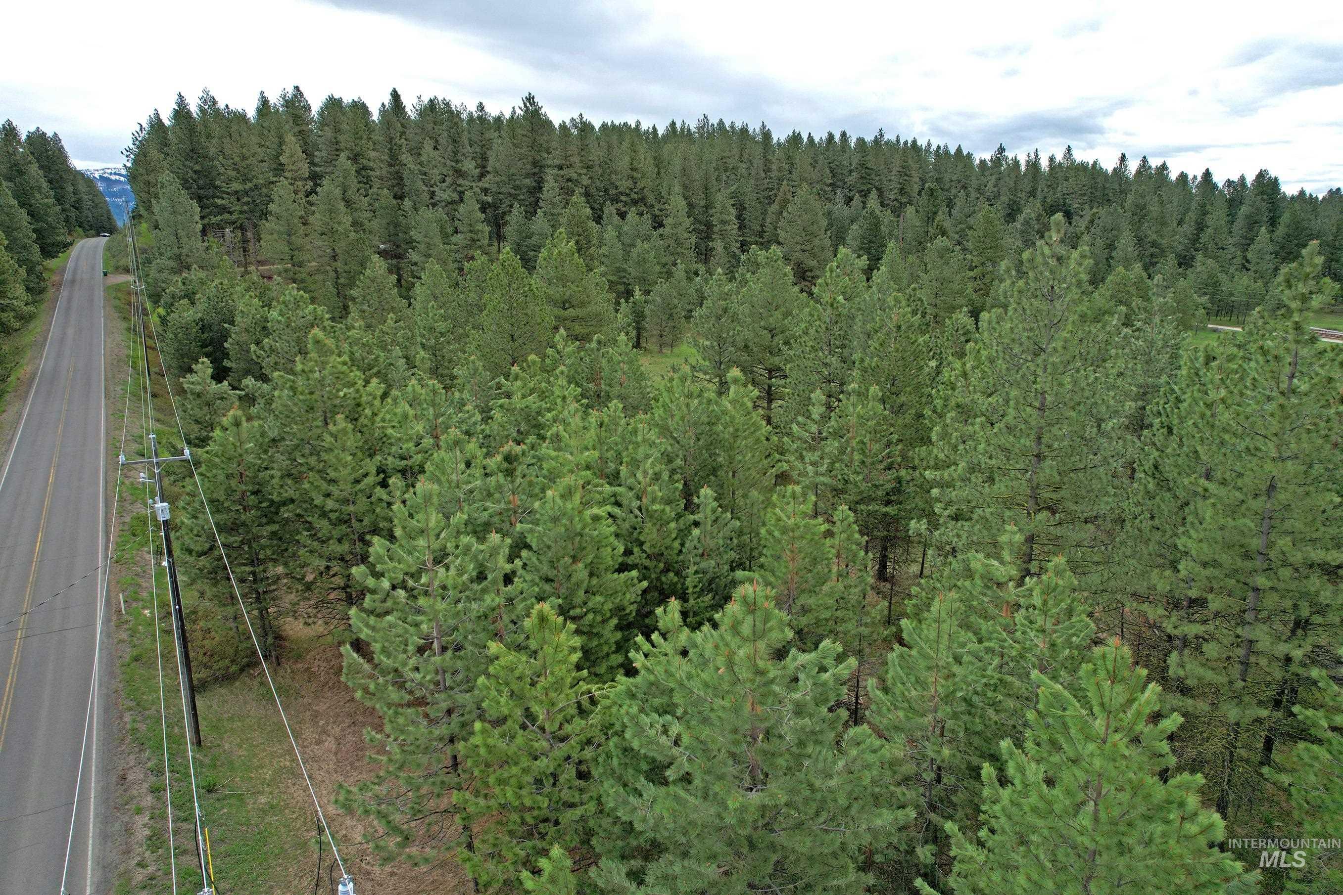 TBD 2 Elo Road, McCall, Idaho 83638, Land For Sale, Price $325,000,MLS 98935491