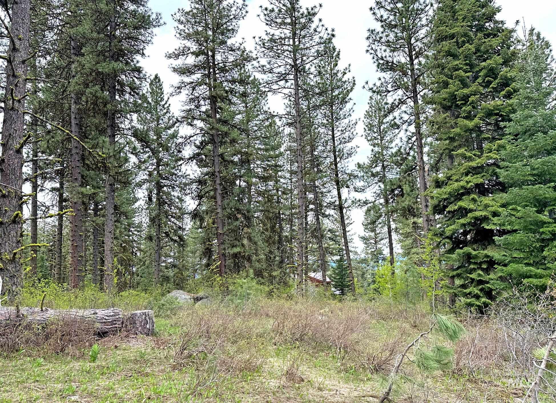 TBD 2 Elo Road, McCall, Idaho 83638, Land For Sale, Price $325,000,MLS 98935491