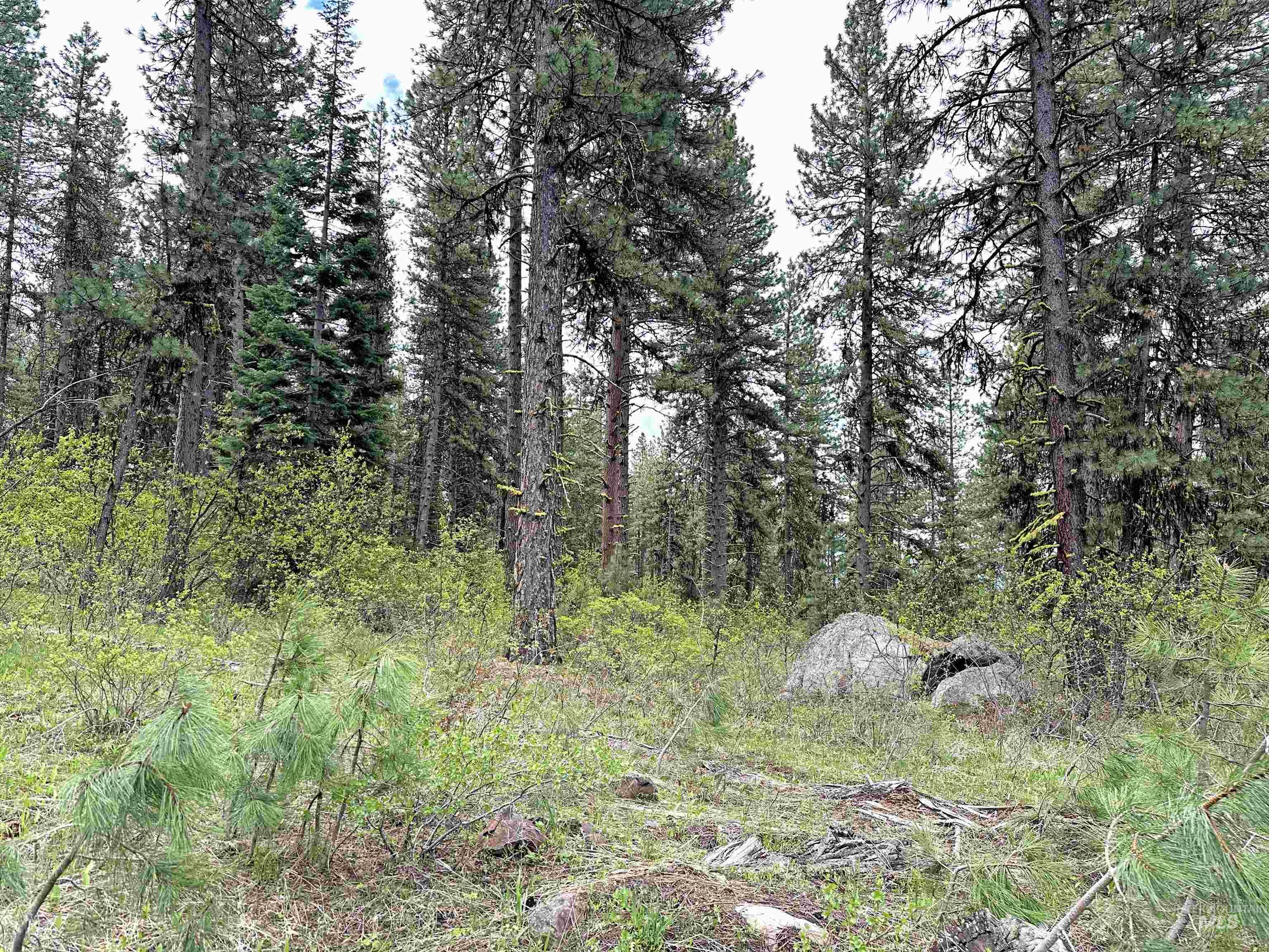 TBD 2 Elo Road, McCall, Idaho 83638, Land For Sale, Price $325,000,MLS 98935491