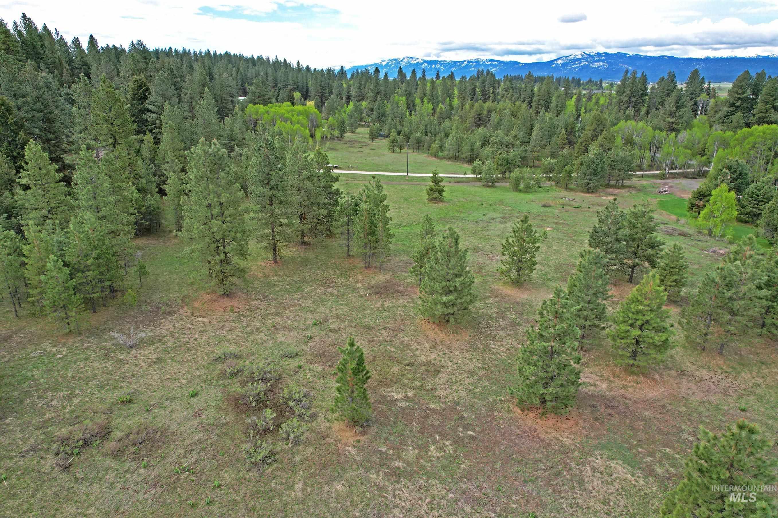TBD 5 Elo Road, McCall, Idaho 83638, Land For Sale, Price $495,000,MLS 98935492