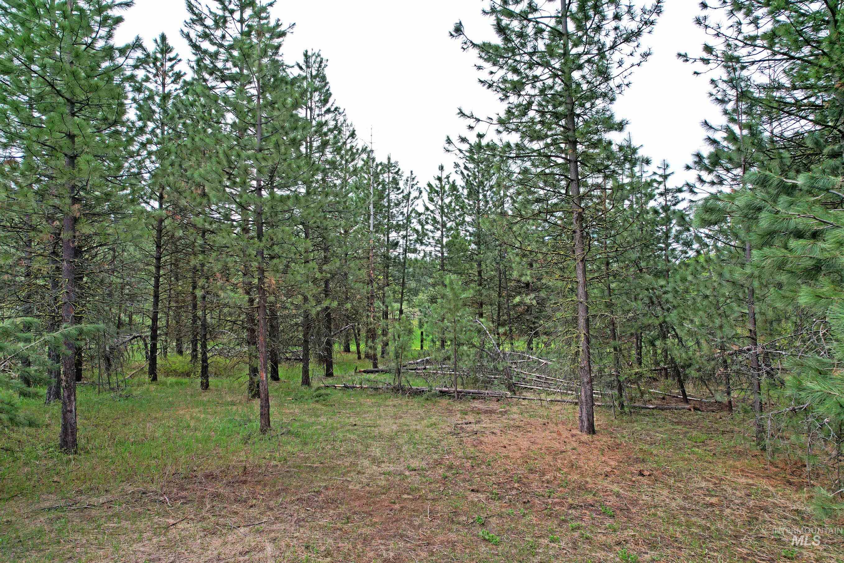 TBD 5 Elo Road, McCall, Idaho 83638, Land For Sale, Price $495,000,MLS 98935492