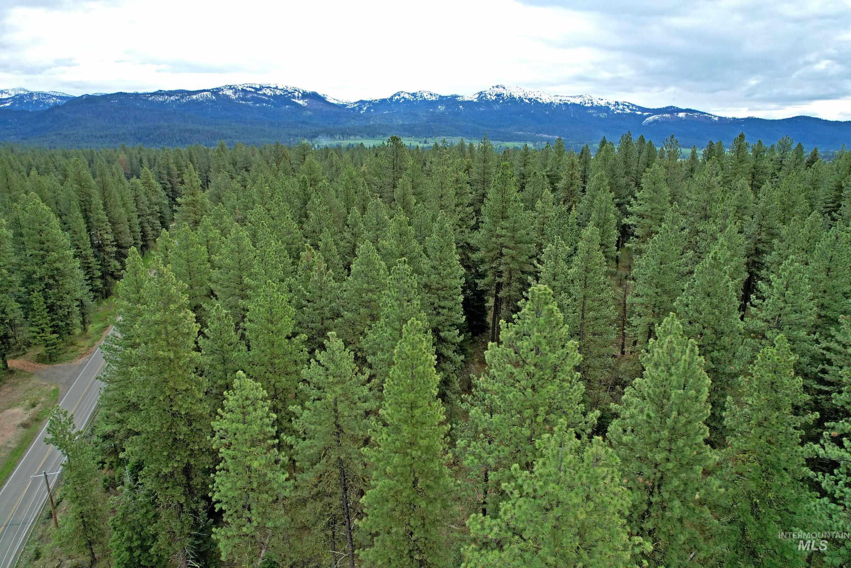 TBD 5 Elo Road, McCall, Idaho 83638, Land For Sale, Price $495,000,MLS 98935492