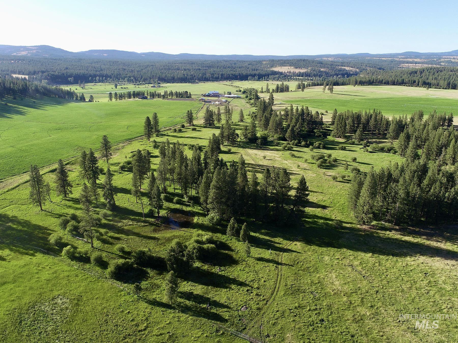 55959 Hwy. 244, La Grande, Oregon 97850, 3 Bedrooms, 2.5 Bathrooms, Farm & Ranch For Sale, Price $9,950,000,MLS 98935736