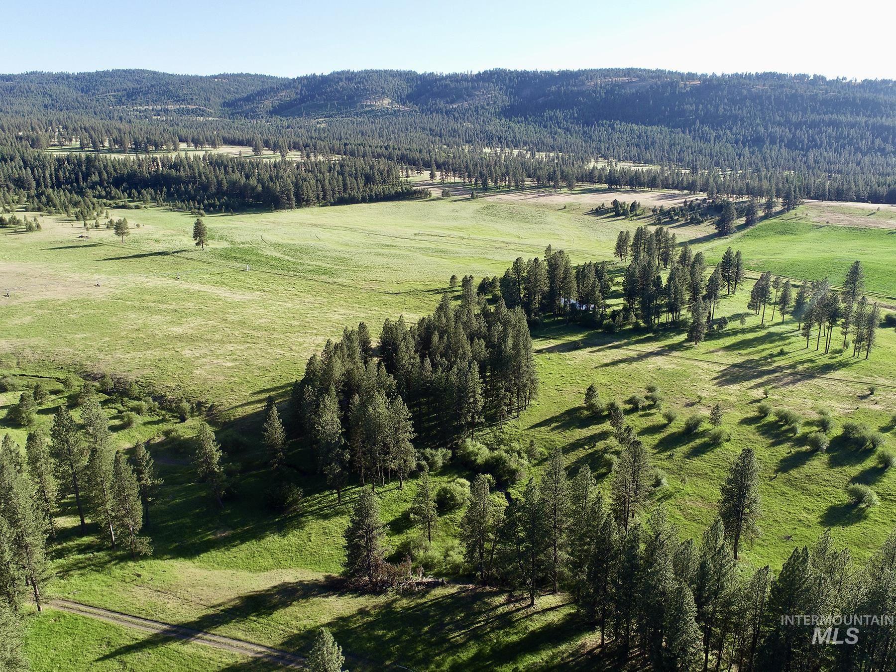 55959 Hwy. 244, La Grande, Oregon 97850, 3 Bedrooms, 2.5 Bathrooms, Farm & Ranch For Sale, Price $9,950,000,MLS 98935736