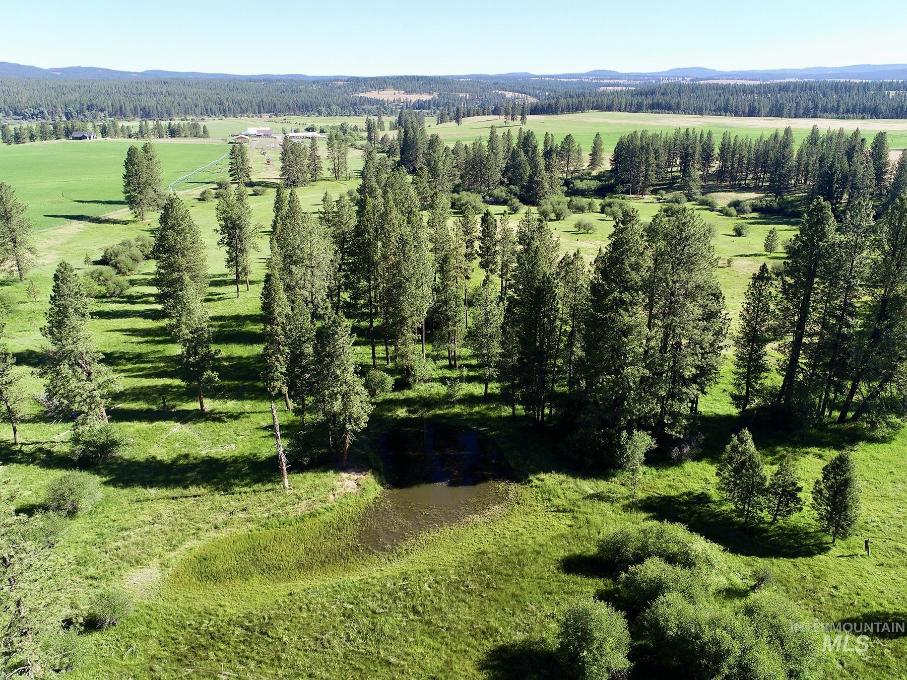 55959 Hwy. 244, La Grande, Oregon 97850, 3 Bedrooms, 2.5 Bathrooms, Farm & Ranch For Sale, Price $9,950,000,MLS 98935736