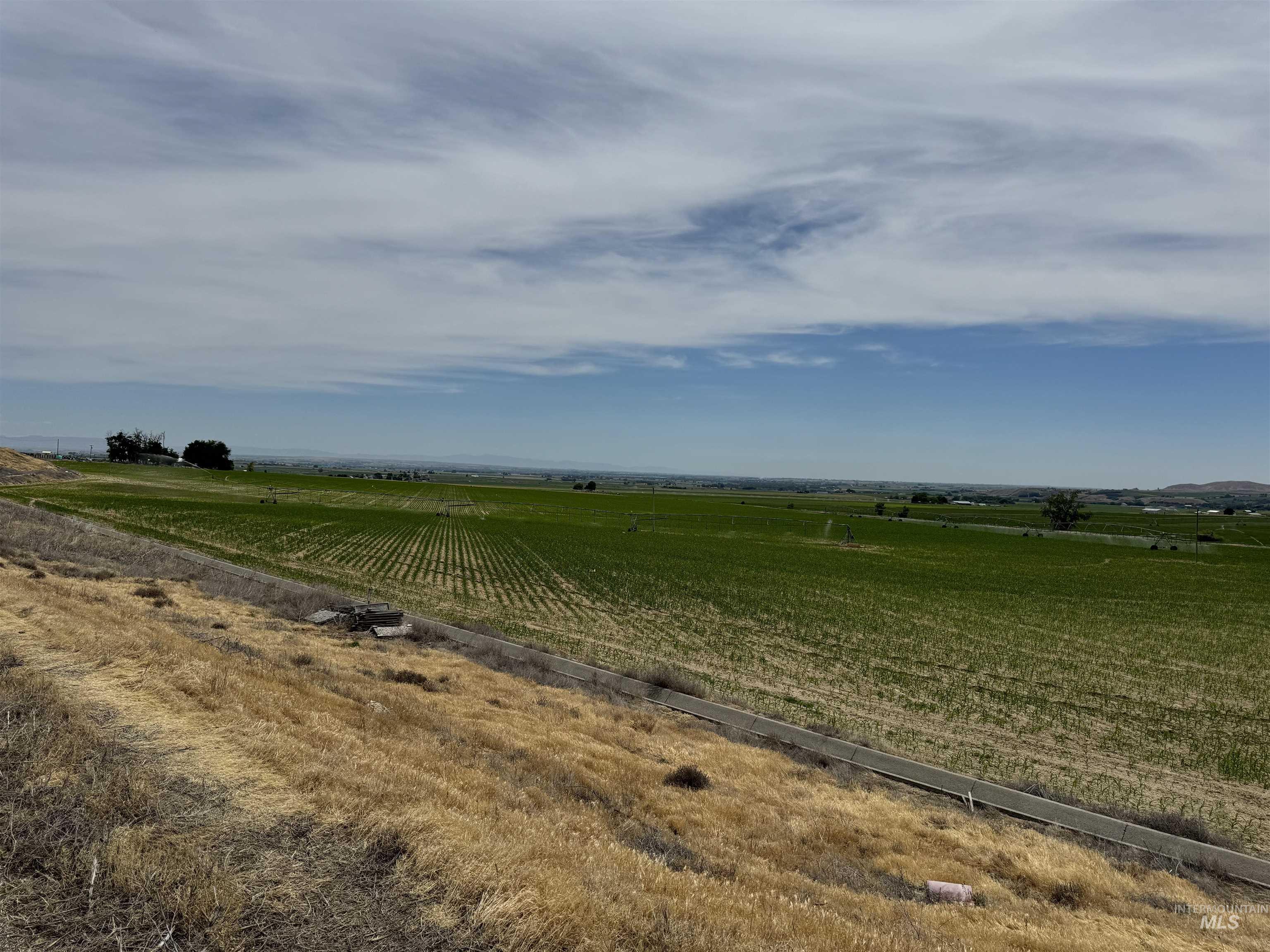 1349 Klamath Ave, Nyssa, Oregon 97913, Farm & Ranch For Sale, Price $775,000, 98936308