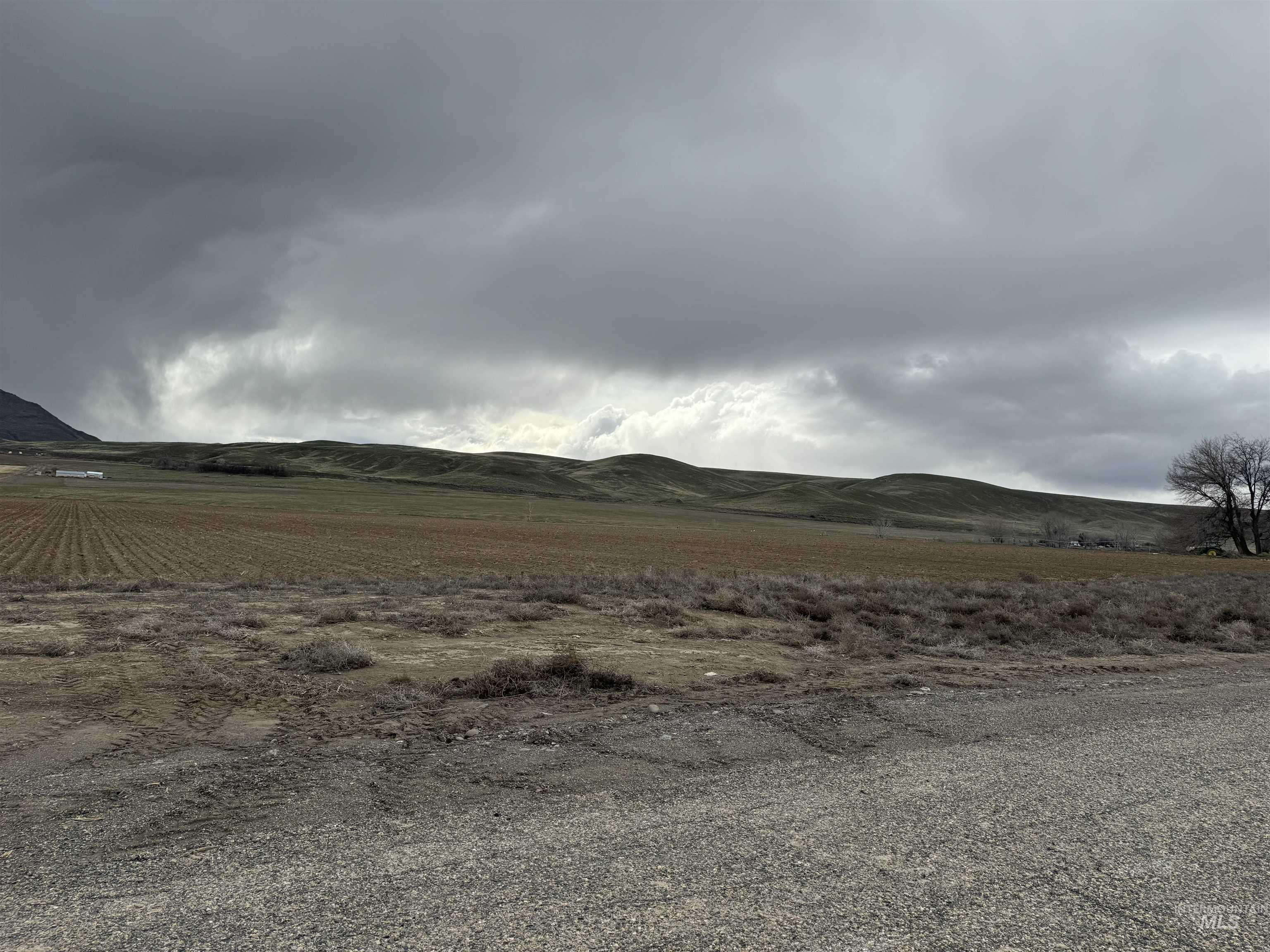 1349 Klamath Ave, Nyssa, Oregon 97913, Farm & Ranch For Sale, Price $775,000, 98936308