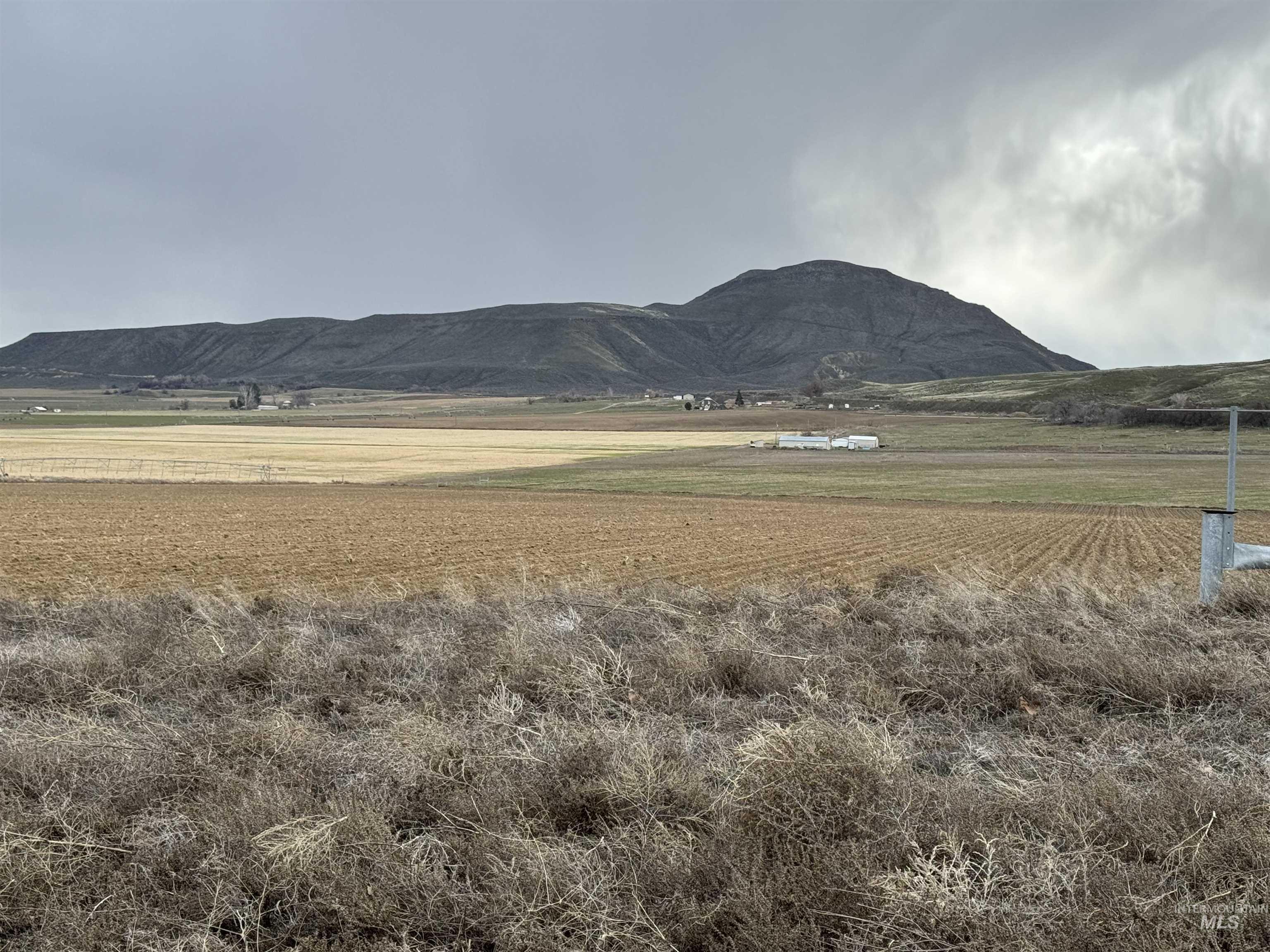 1349 Klamath Ave, Nyssa, Oregon 97913, Farm & Ranch For Sale, Price $775,000, 98936308