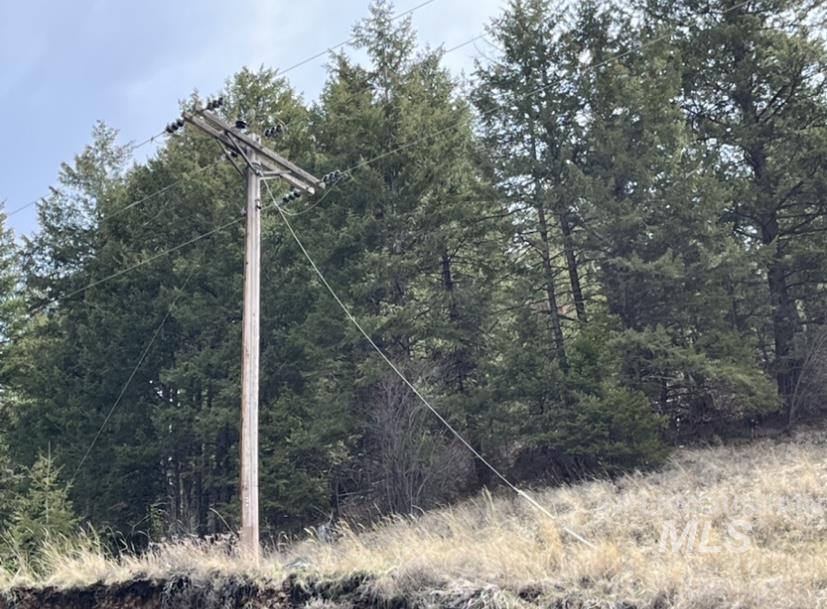 TBD State Highway 129, Anatone, Washington 99401, Land For Sale, Price $40,900,MLS 98936409