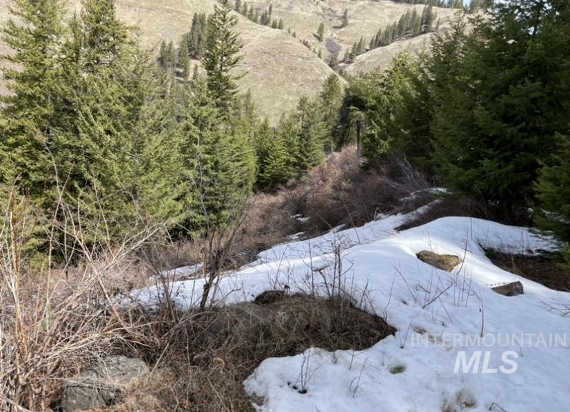 TBD State Highway 129, Anatone, Washington 99401, Land For Sale, Price $40,900,MLS 98936409