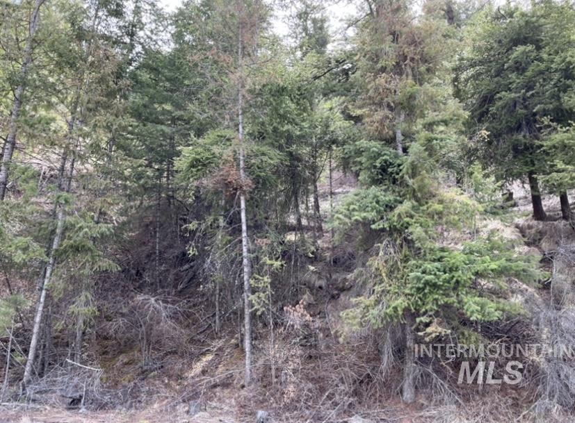 TBD State Highway 129, Anatone, Washington 99401, Land For Sale, Price $40,900,MLS 98936409