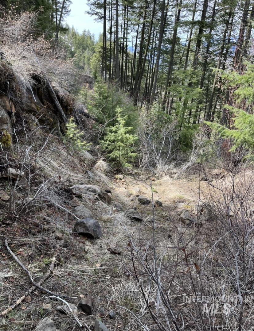 TBD State Highway 129, Anatone, Washington 99401, Land For Sale, Price $40,900,MLS 98936409