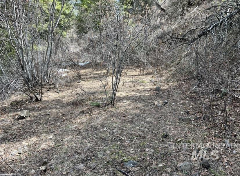 TBD State Highway 129, Anatone, Washington 99401, Land For Sale, Price $40,900,MLS 98936409