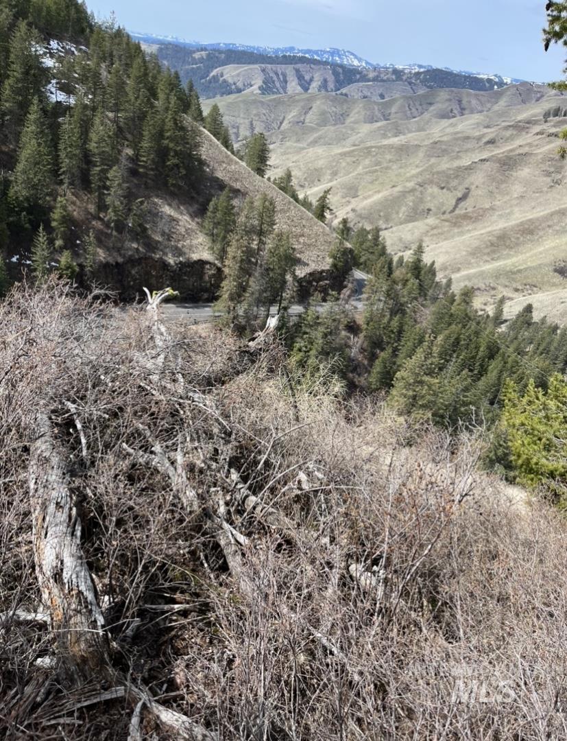 TBD State Highway 129, Anatone, Washington 99401, Land For Sale, Price $40,900,MLS 98936409