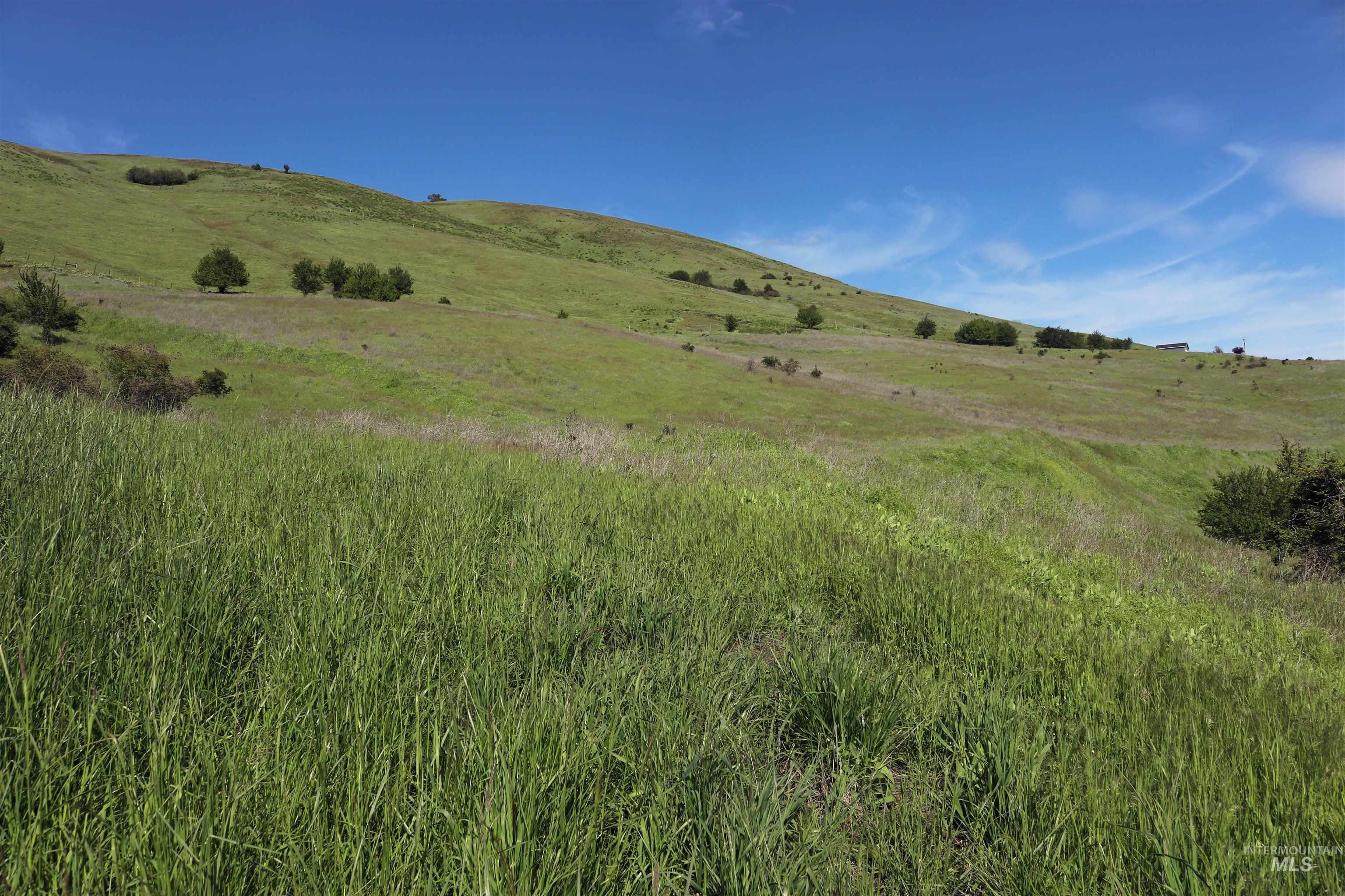 TBD Sunnyside Bench Road, Lenore, Idaho 83541, Land For Sale, Price $261,900,MLS 98937294