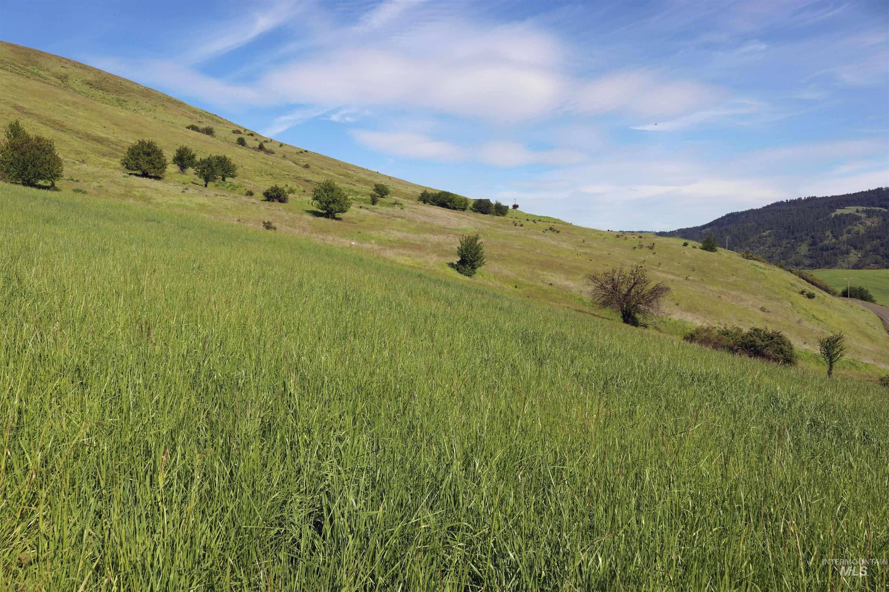 TBD Sunnyside Bench Road, Lenore, Idaho 83541, Land For Sale, Price $261,900,MLS 98937294