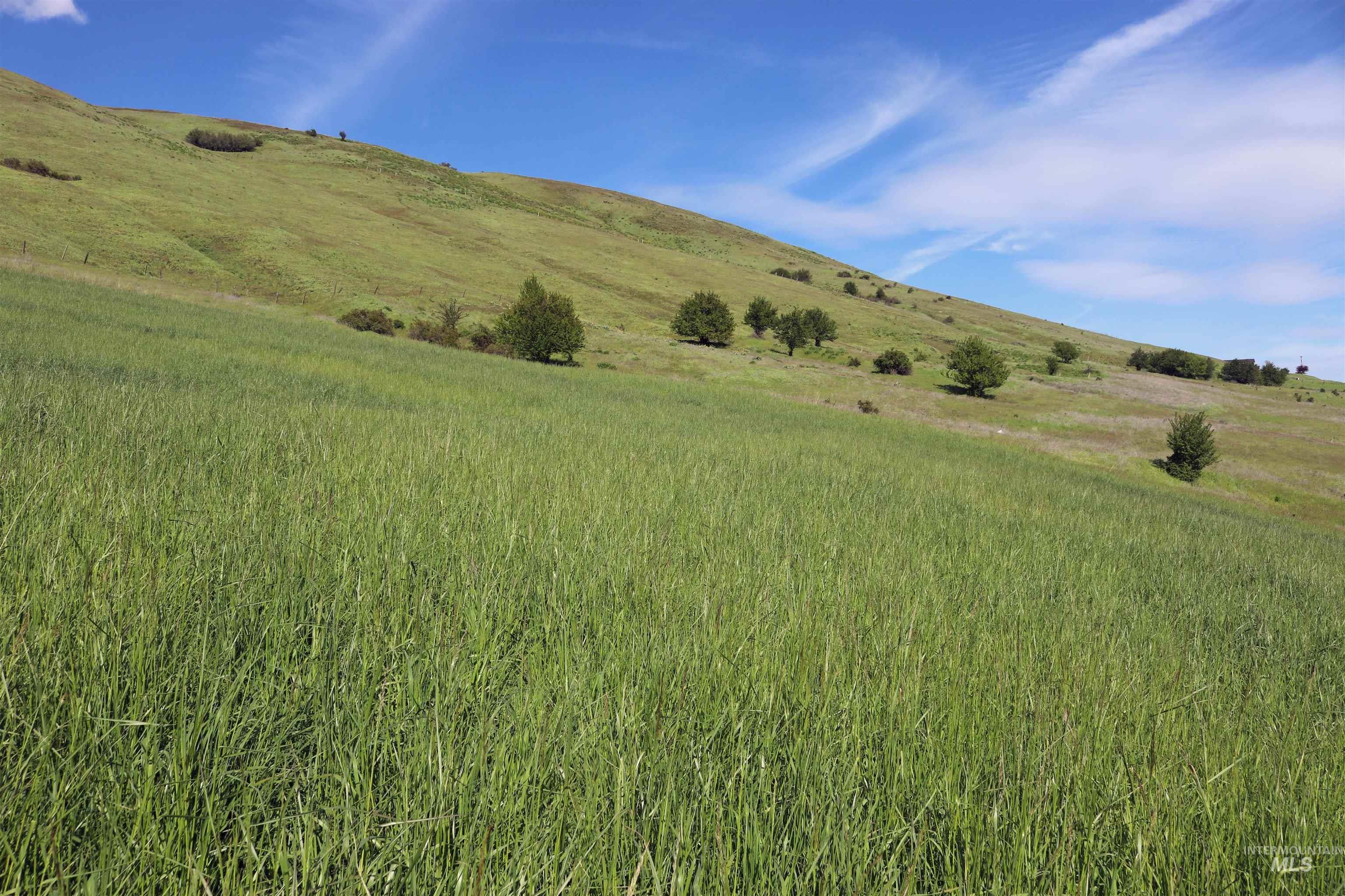 TBD Sunnyside Bench Road, Lenore, Idaho 83541, Land For Sale, Price $261,900,MLS 98937294