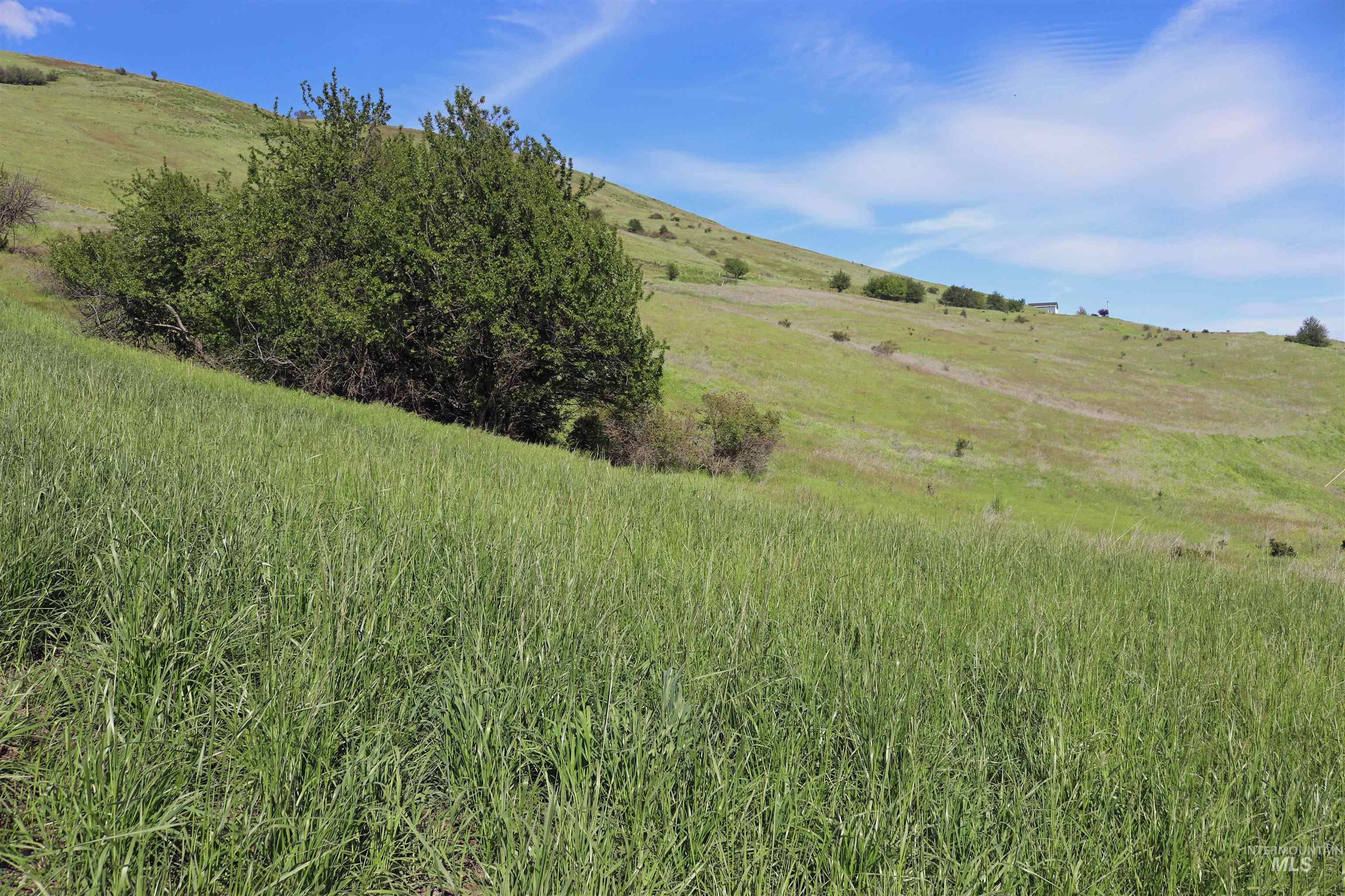 TBD Sunnyside Bench Road, Lenore, Idaho 83541, Land For Sale, Price $261,900,MLS 98937294