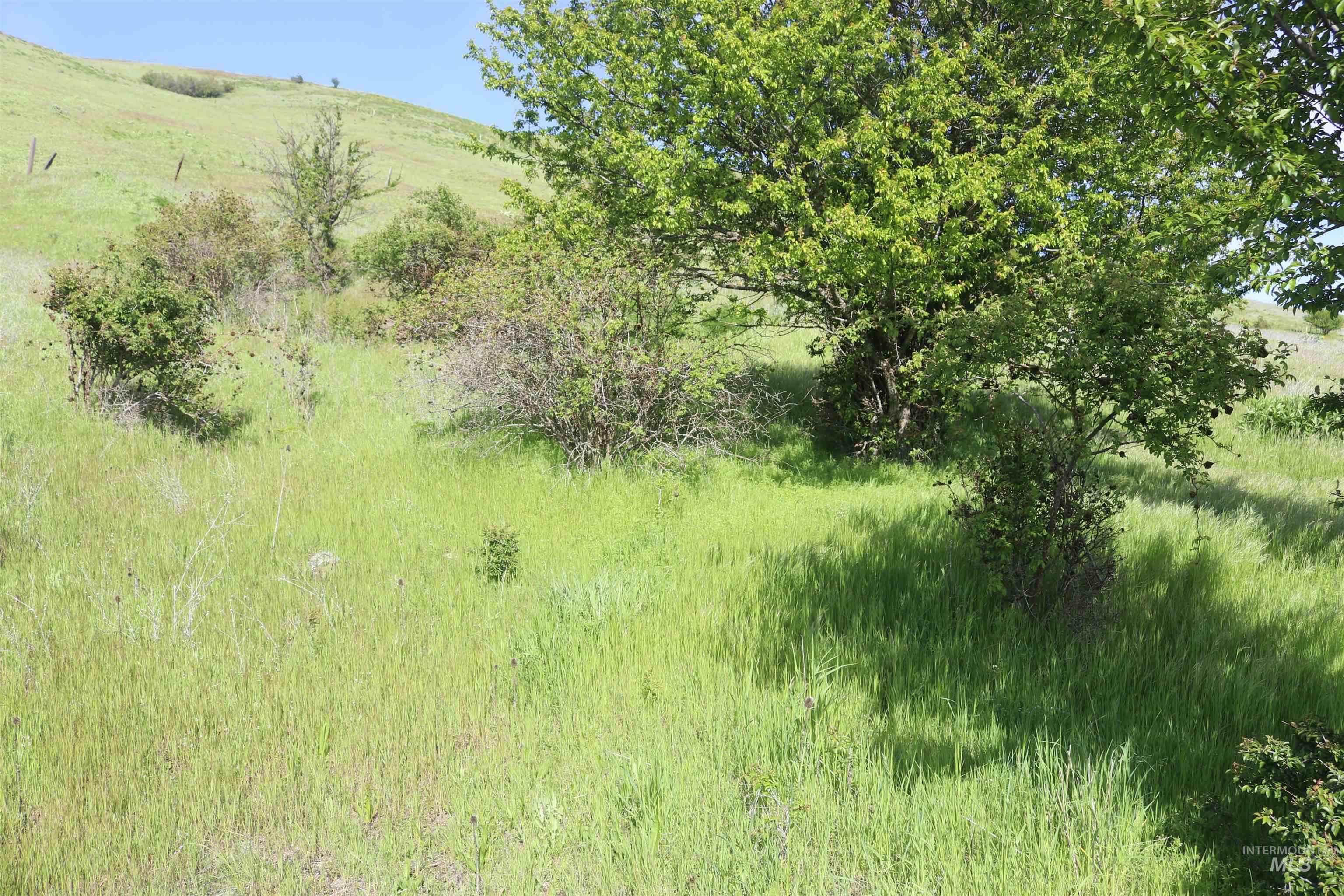 TBD Sunnyside Bench Road, Lenore, Idaho 83541, Land For Sale, Price $261,900,MLS 98937294