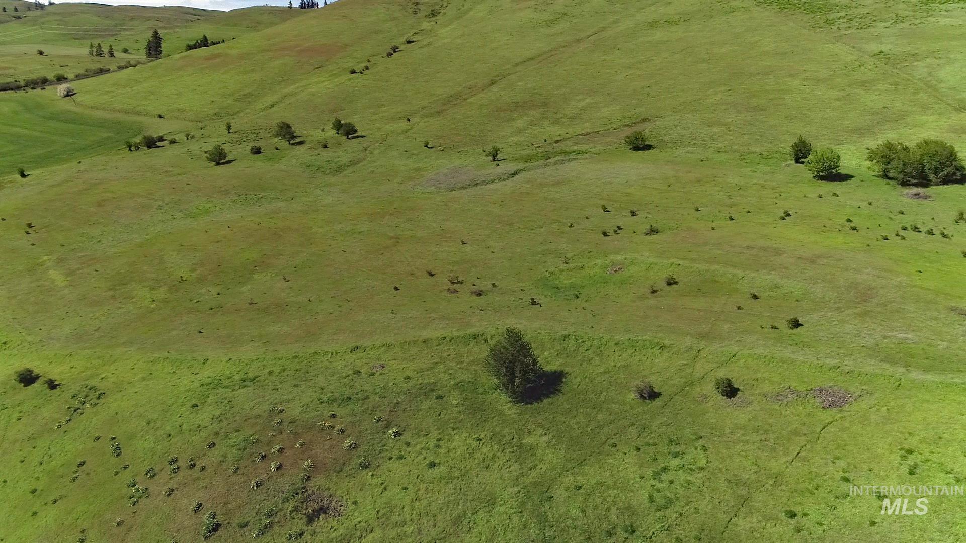 TBD Sunnyside Bench Road, Lenore, Idaho 83541, Land For Sale, Price $261,900,MLS 98937294