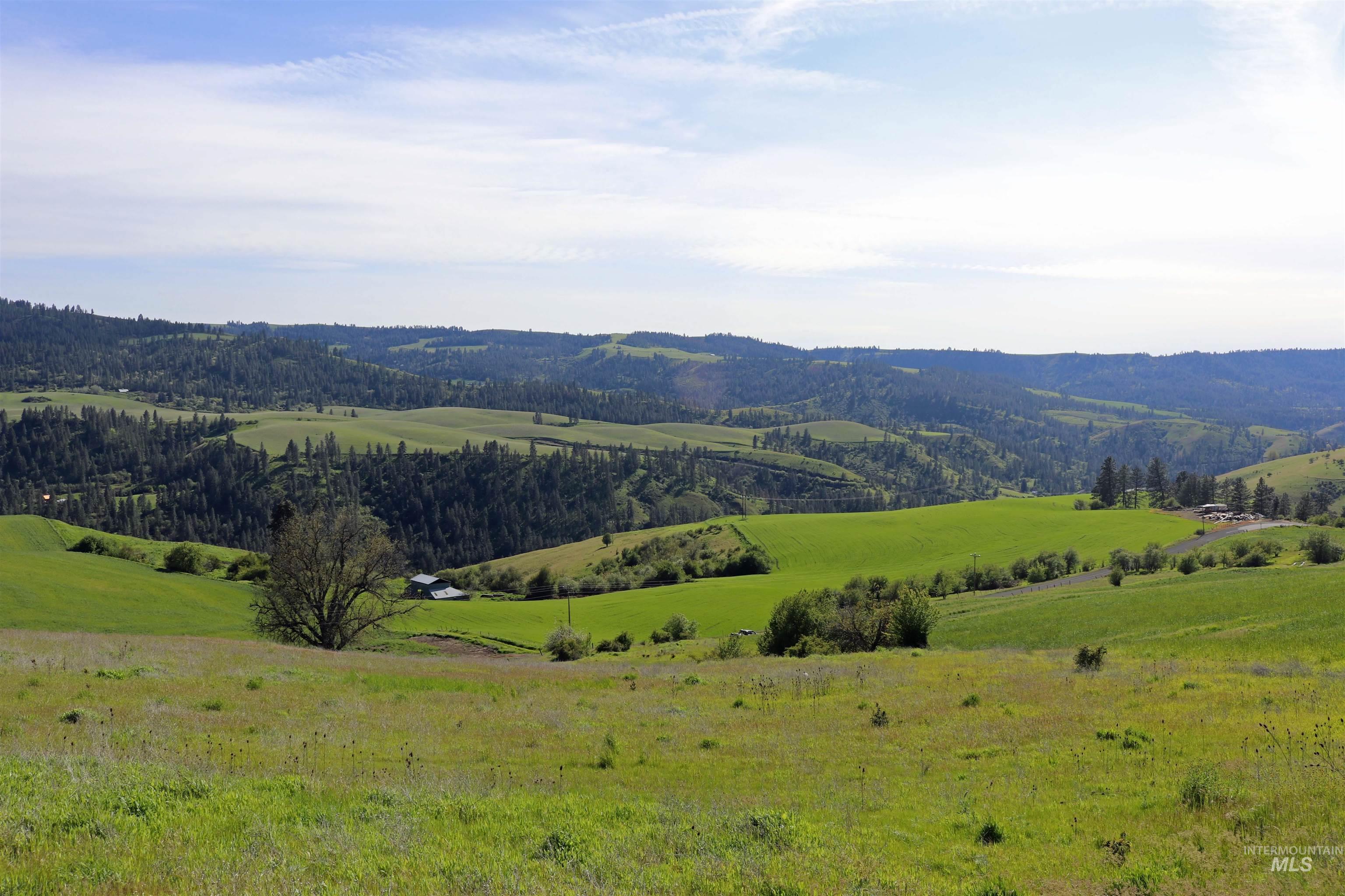 TBD Sunnyside Bench Road, Lenore, Idaho 83541, Land For Sale, Price $261,900,MLS 98937294
