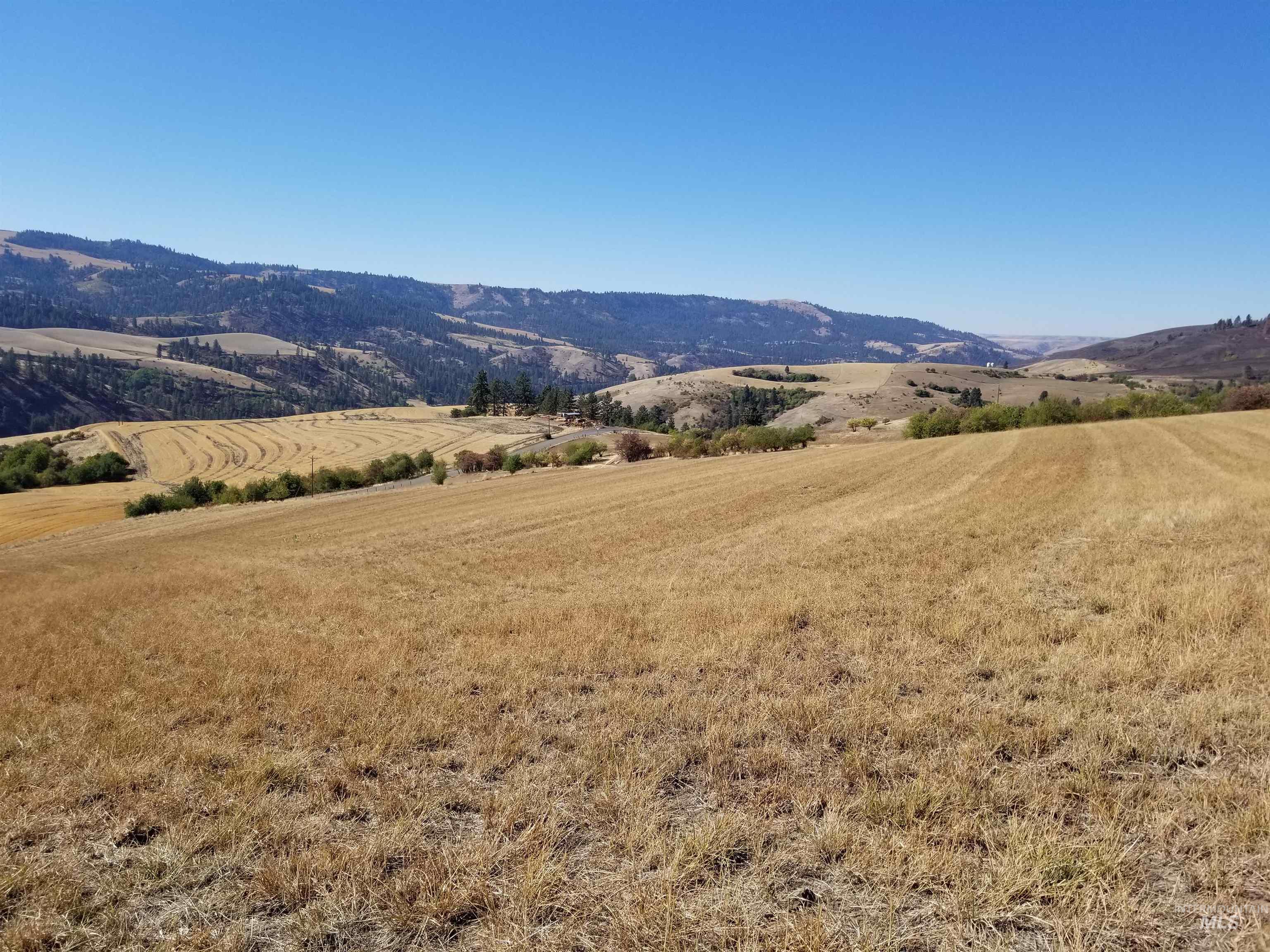 TBD Sunnyside Bench Road, Lenore, Idaho 83541, Land For Sale, Price $261,900,MLS 98937294