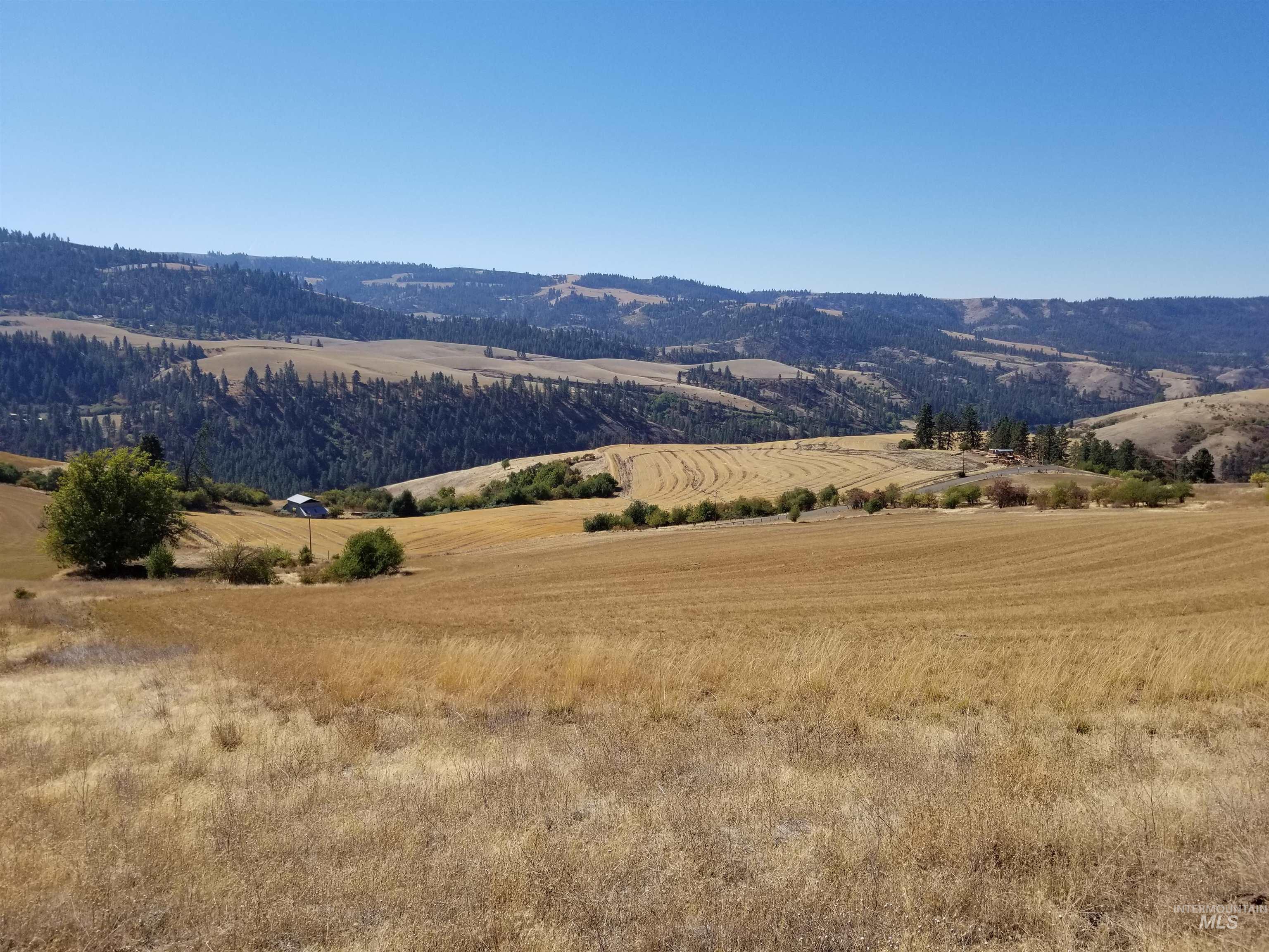 TBD Sunnyside Bench Road, Lenore, Idaho 83541, Land For Sale, Price $261,900,MLS 98937294