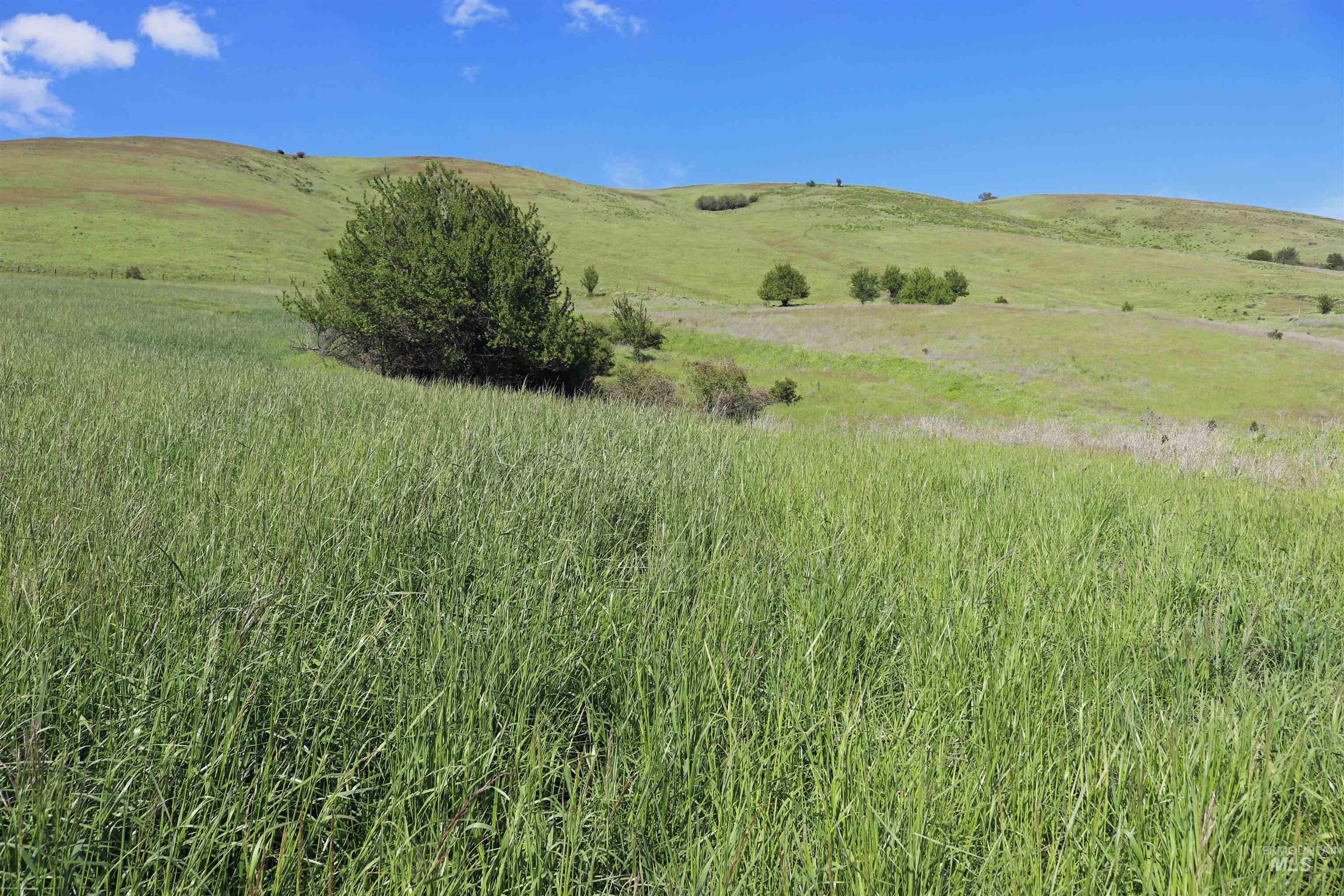 TBD Sunnyside Bench Road, Lenore, Idaho 83541, Land For Sale, Price $261,900,MLS 98937294