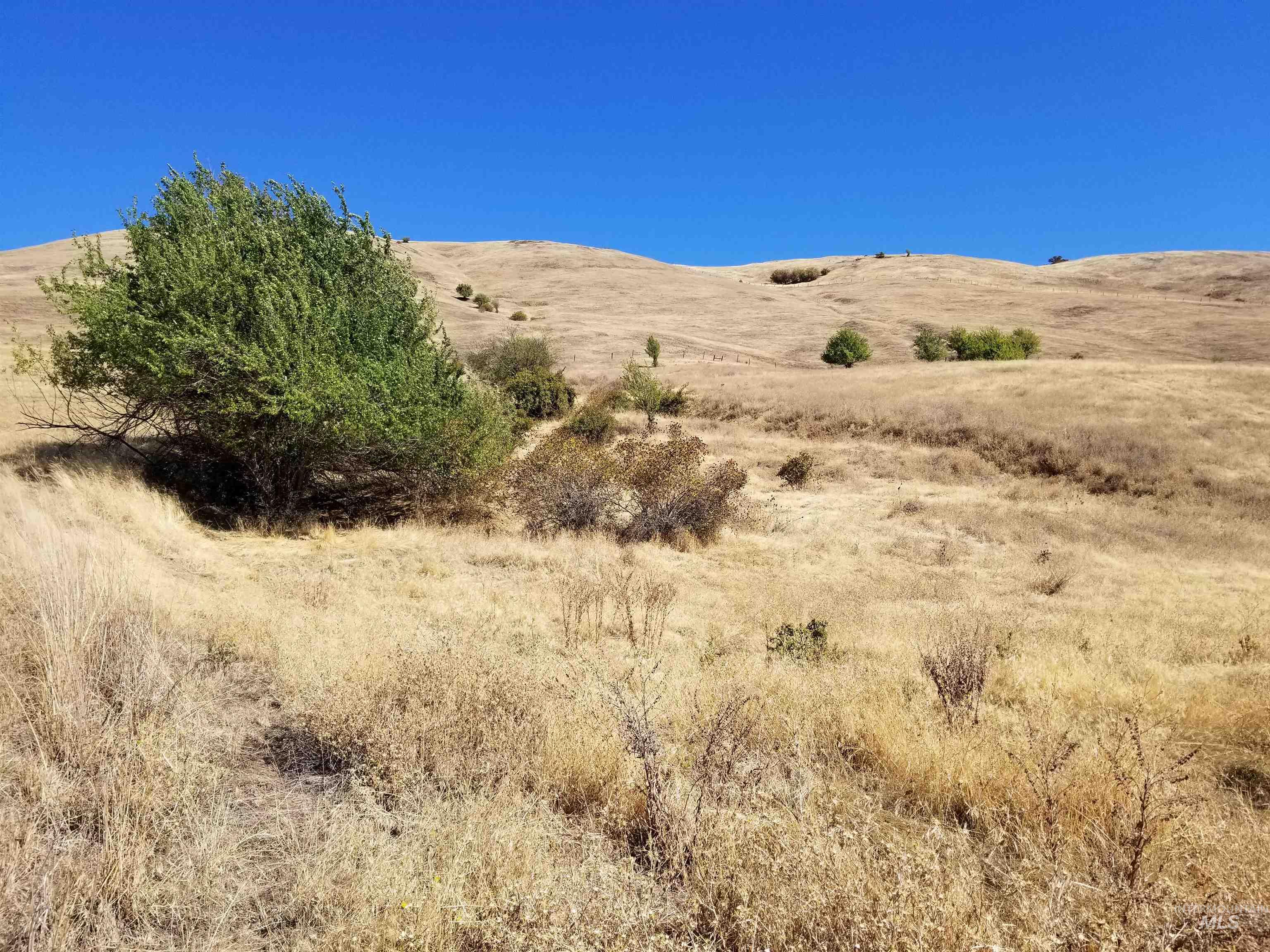 TBD Sunnyside Bench Road, Lenore, Idaho 83541, Land For Sale, Price $261,900,MLS 98937294