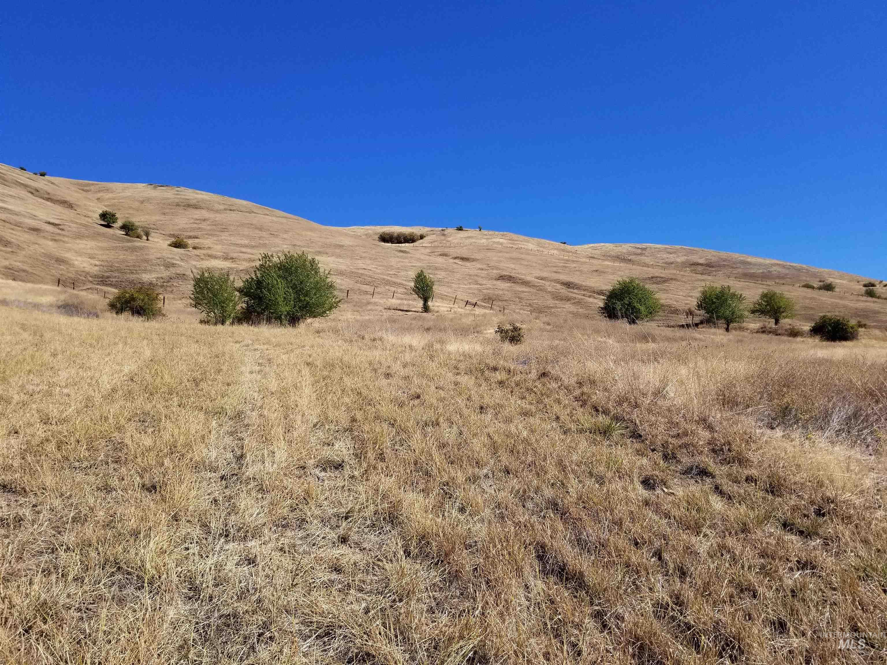 TBD Sunnyside Bench Road, Lenore, Idaho 83541, Land For Sale, Price $261,900,MLS 98937294