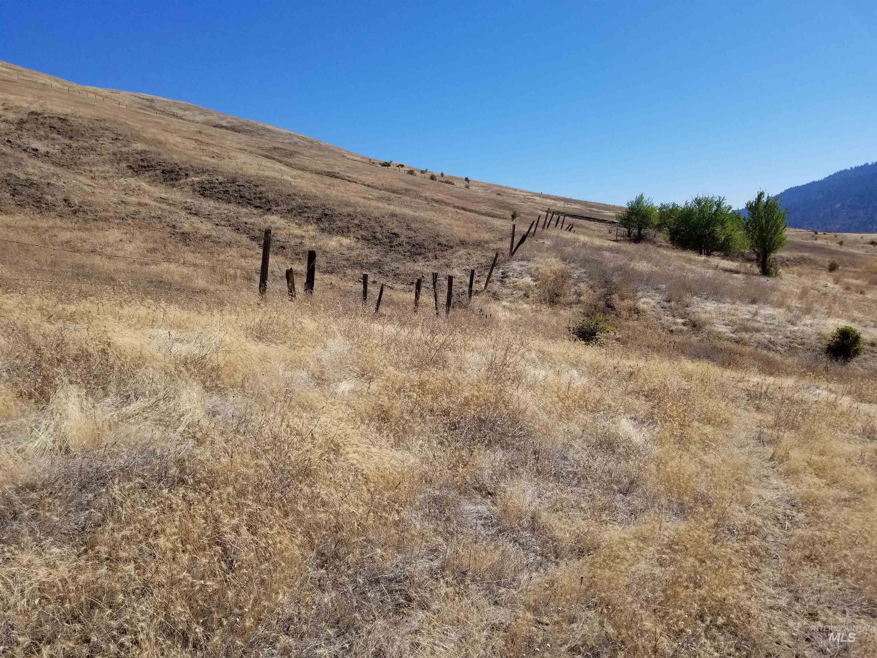 TBD Sunnyside Bench Road, Lenore, Idaho 83541, Land For Sale, Price $261,900,MLS 98937294