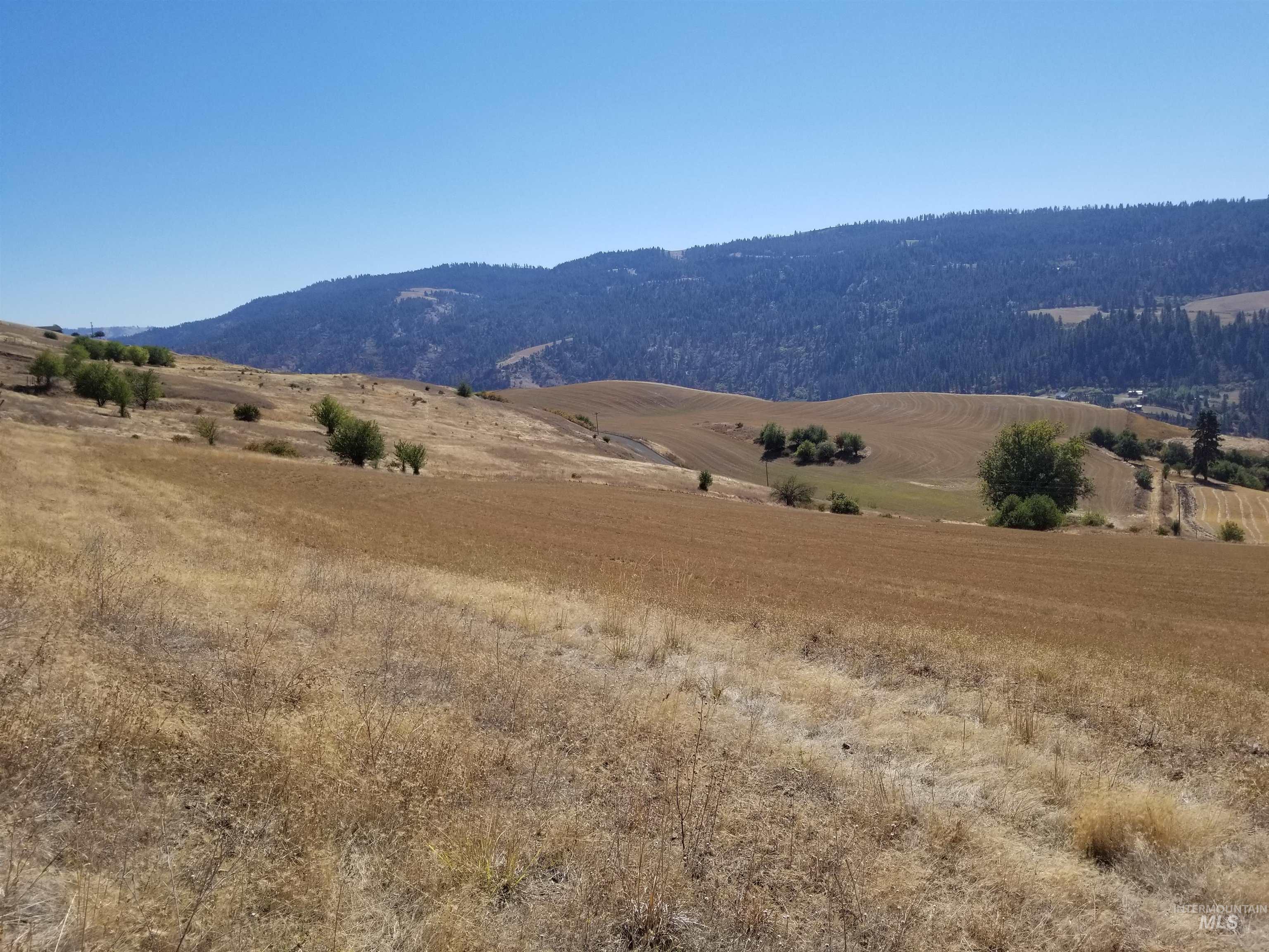 TBD Sunnyside Bench Road, Lenore, Idaho 83541, Land For Sale, Price $261,900,MLS 98937294