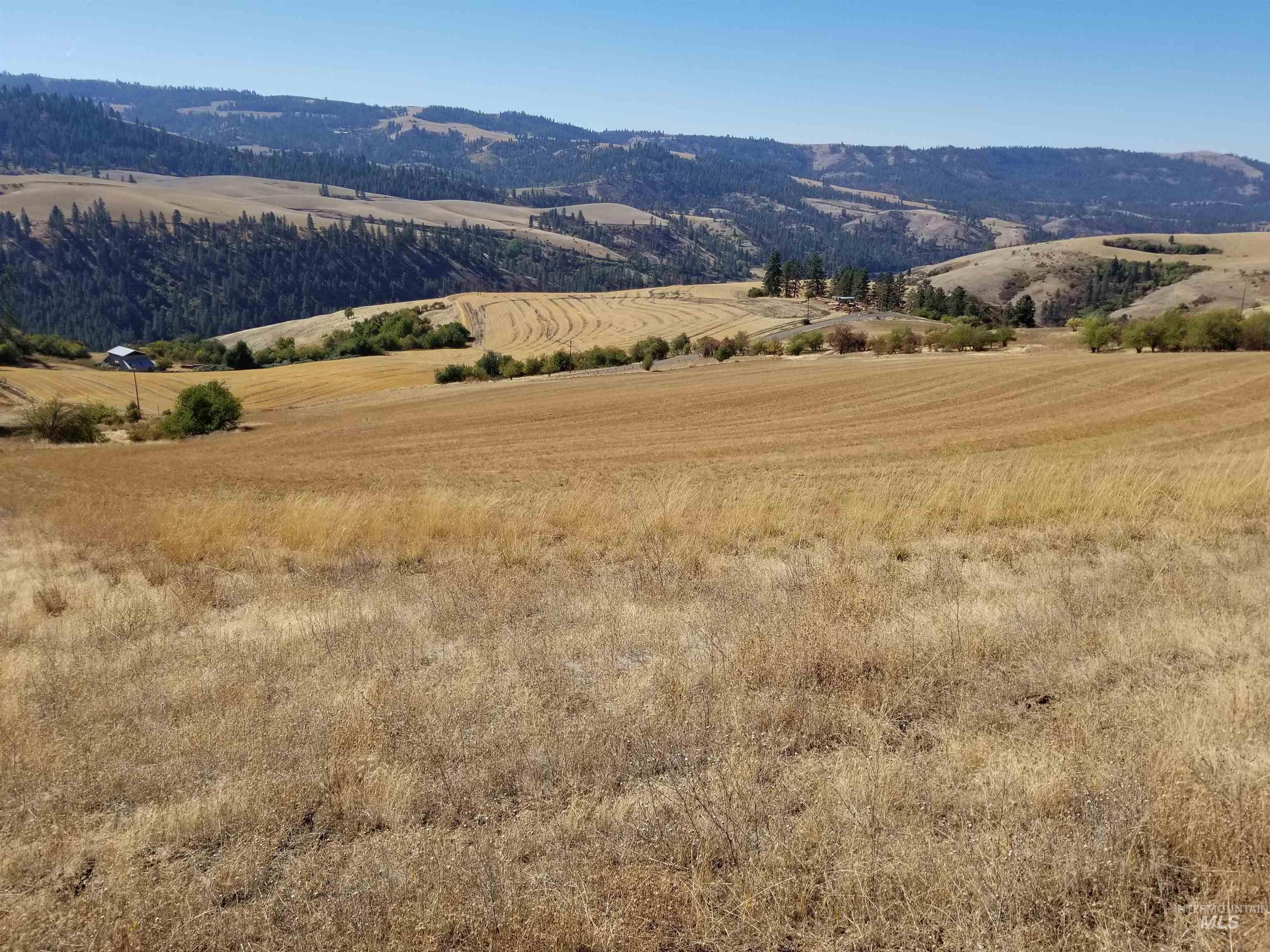 TBD Sunnyside Bench Road, Lenore, Idaho 83541, Land For Sale, Price $261,900,MLS 98937294