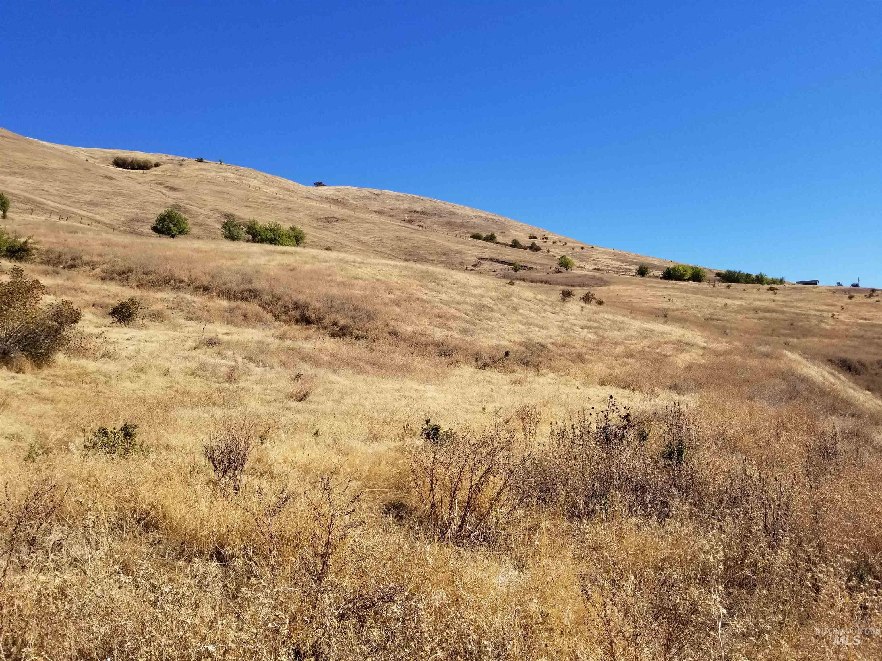 TBD Sunnyside Bench Road, Lenore, Idaho 83541, Land For Sale, Price $261,900,MLS 98937294