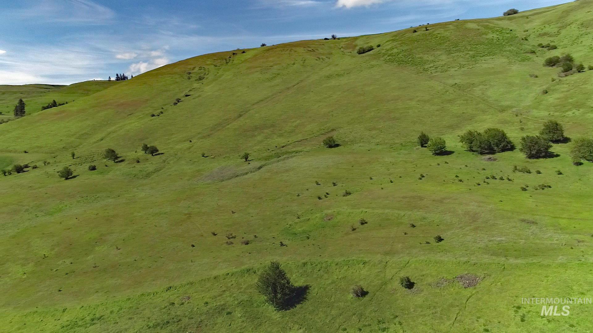 TBD Sunnyside Bench Road, Lenore, Idaho 83541, Land For Sale, Price $261,900,MLS 98937294