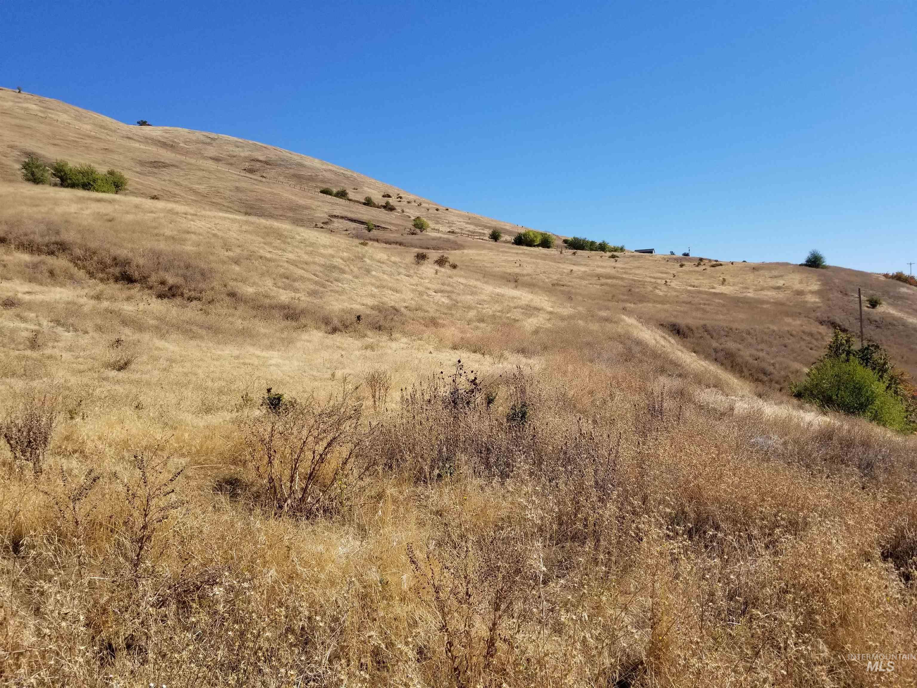 TBD Sunnyside Bench Road, Lenore, Idaho 83541, Land For Sale, Price $261,900,MLS 98937294