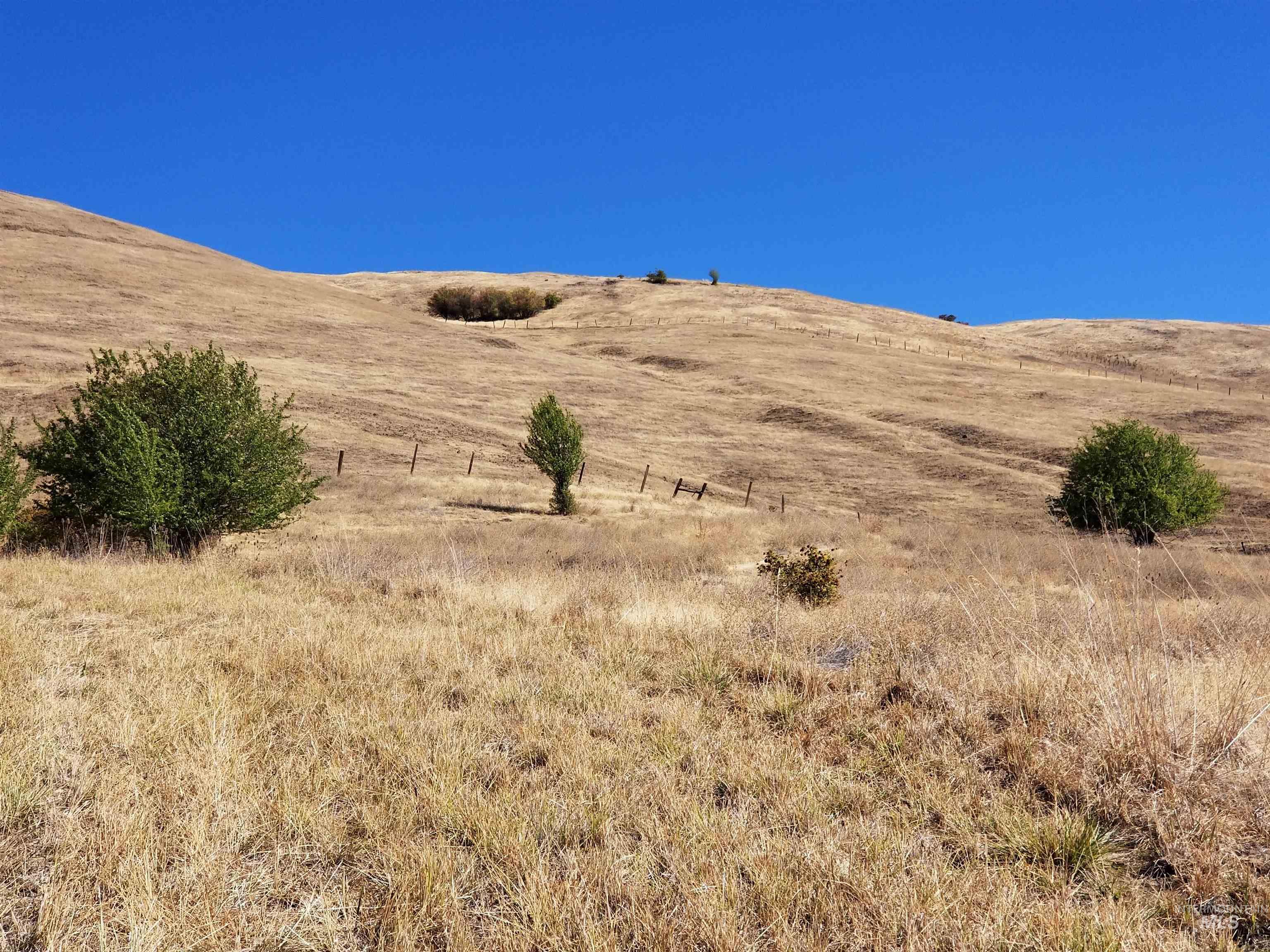TBD Sunnyside Bench Road, Lenore, Idaho 83541, Land For Sale, Price $261,900,MLS 98937294