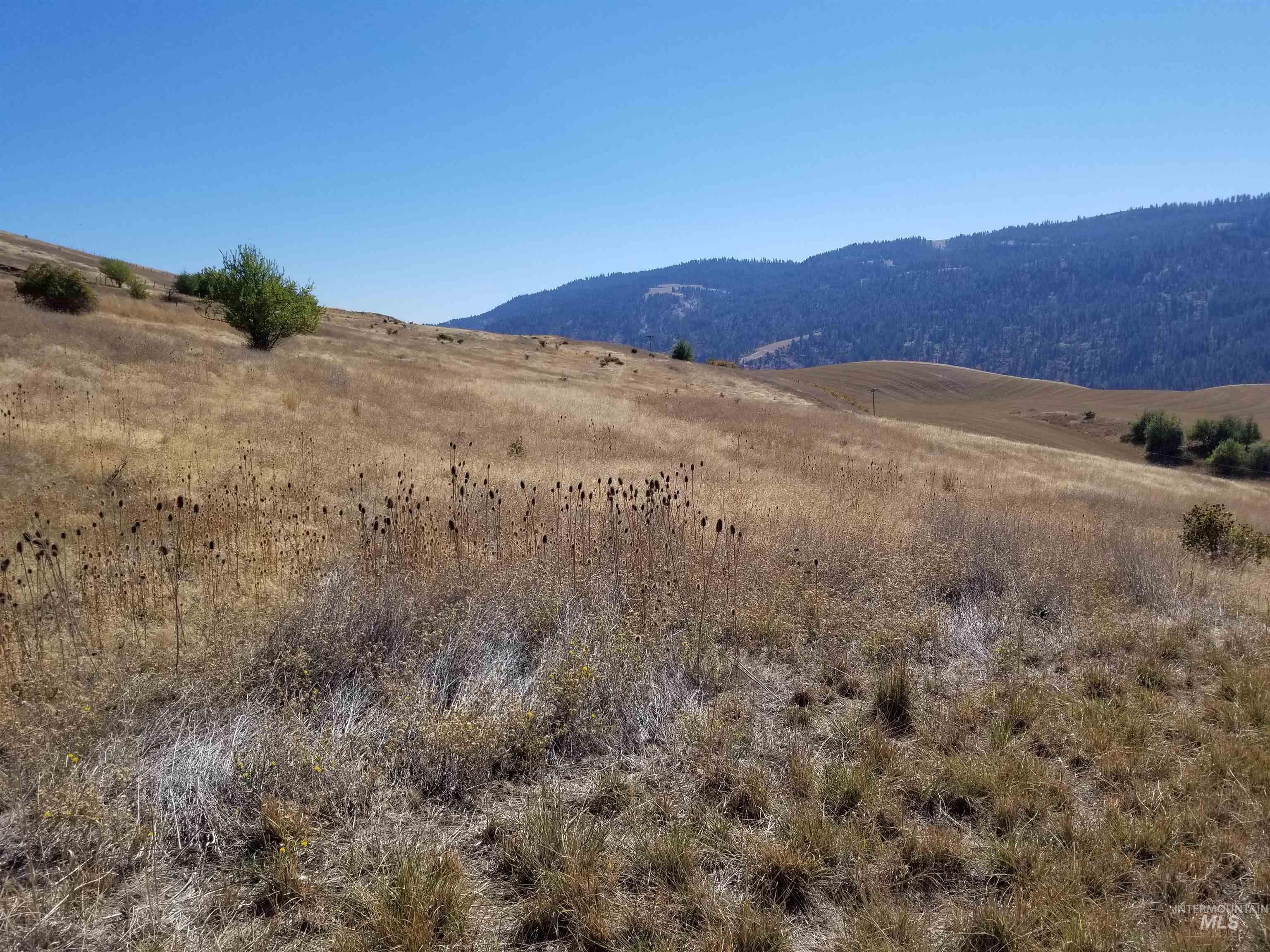 TBD Sunnyside Bench Road, Lenore, Idaho 83541, Land For Sale, Price $261,900,MLS 98937294