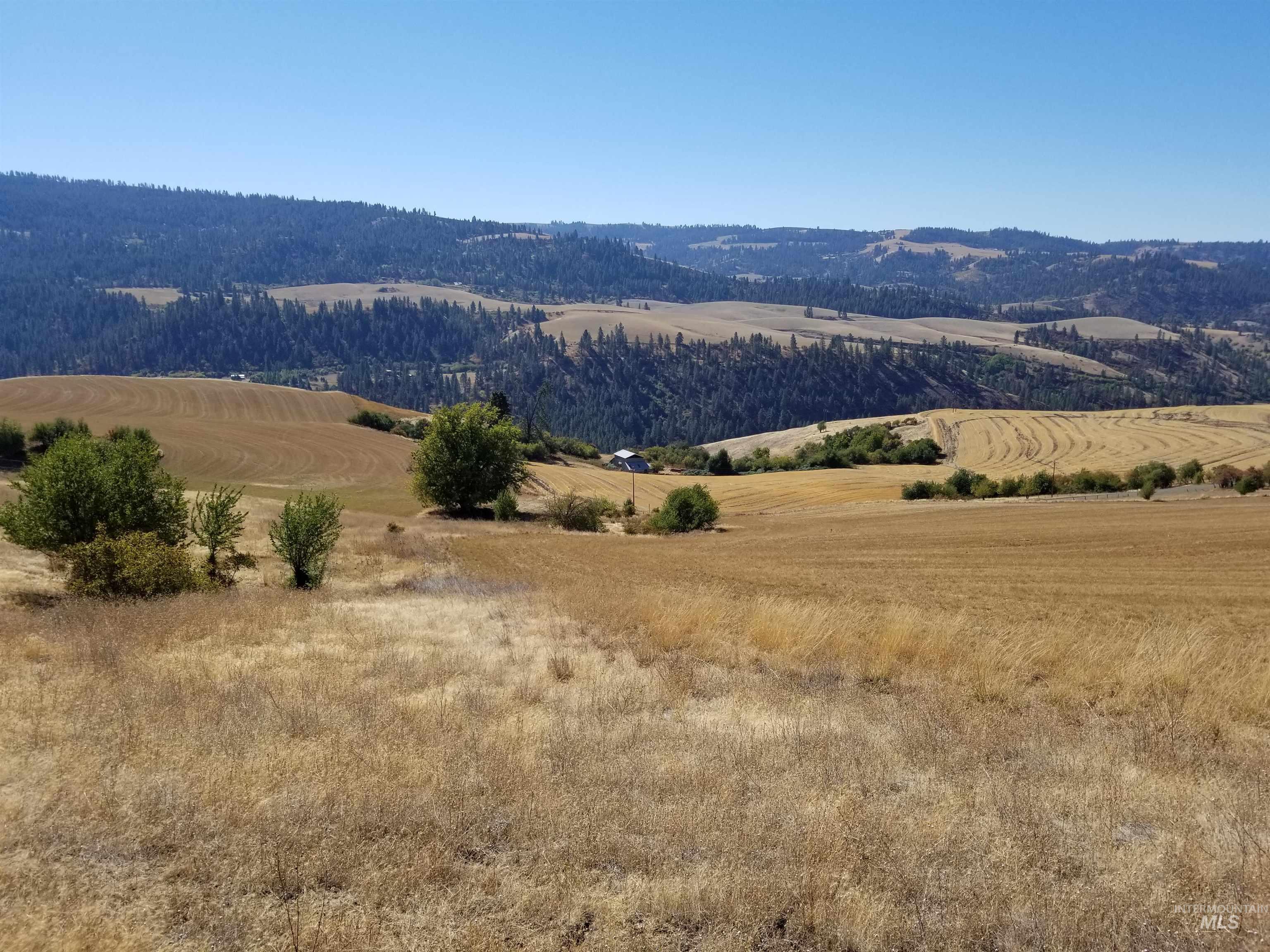TBD Sunnyside Bench Road, Lenore, Idaho 83541, Land For Sale, Price $261,900,MLS 98937294