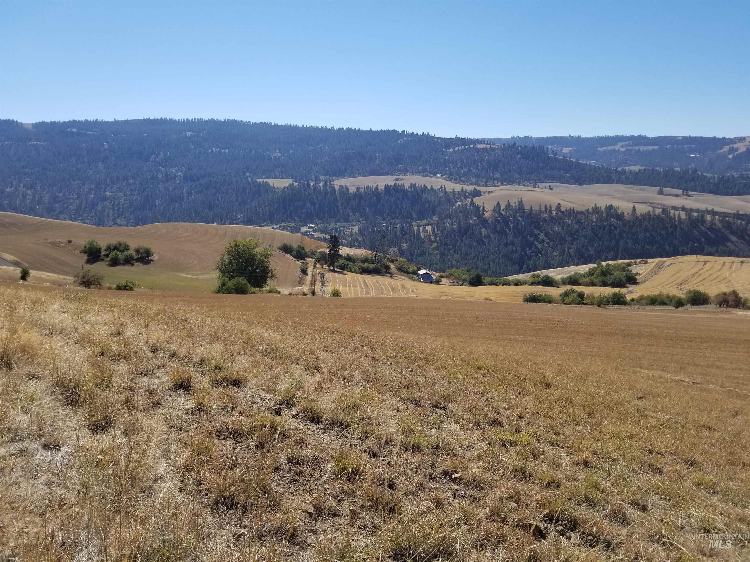 TBD Sunnyside Bench Road, Lenore, Idaho 83541, Land For Sale, Price $261,900,MLS 98937294