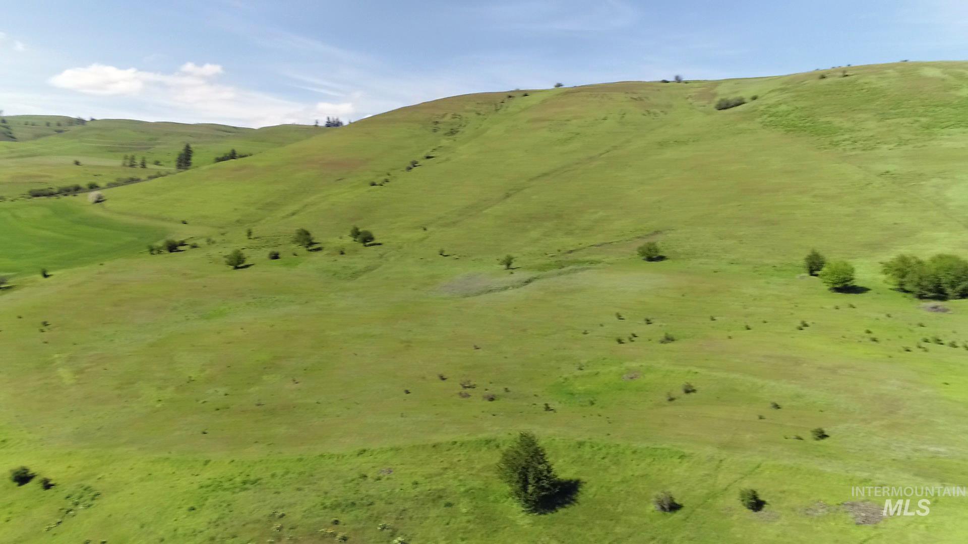 TBD Sunnyside Bench Road, Lenore, Idaho 83541, Land For Sale, Price $261,900,MLS 98937294